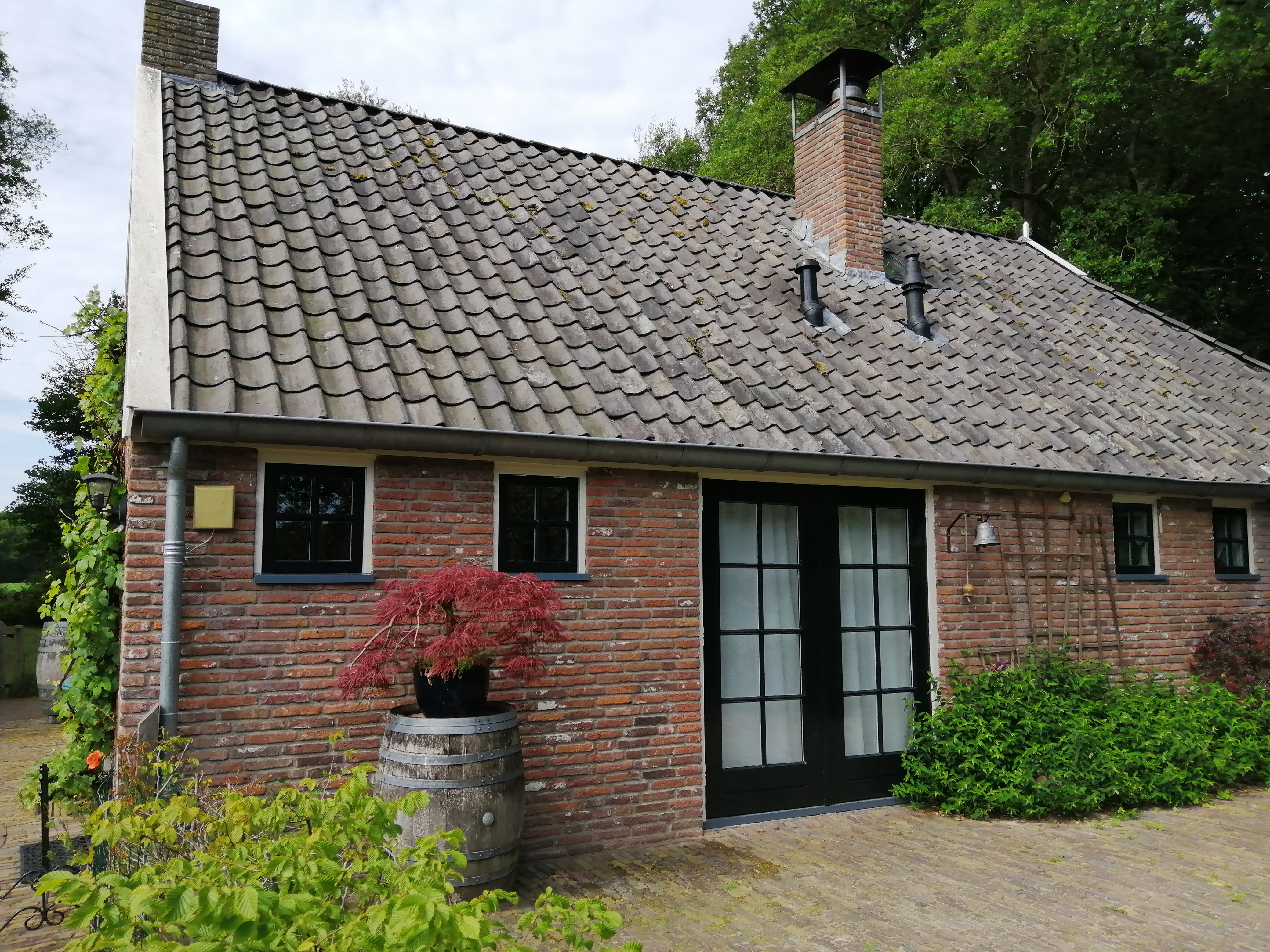 Natuurhuisje in Wapse