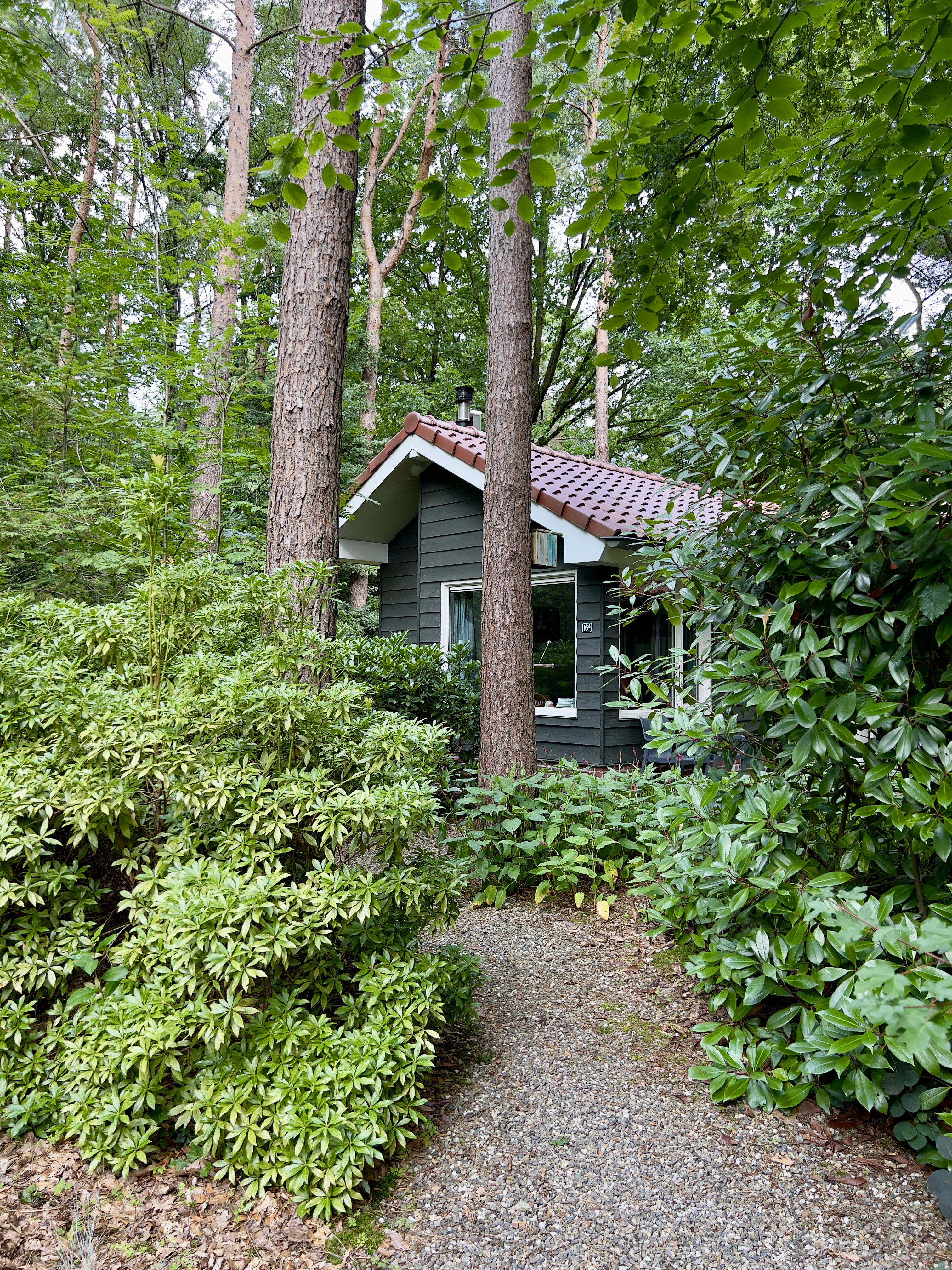 Casa nella natura a Lochem