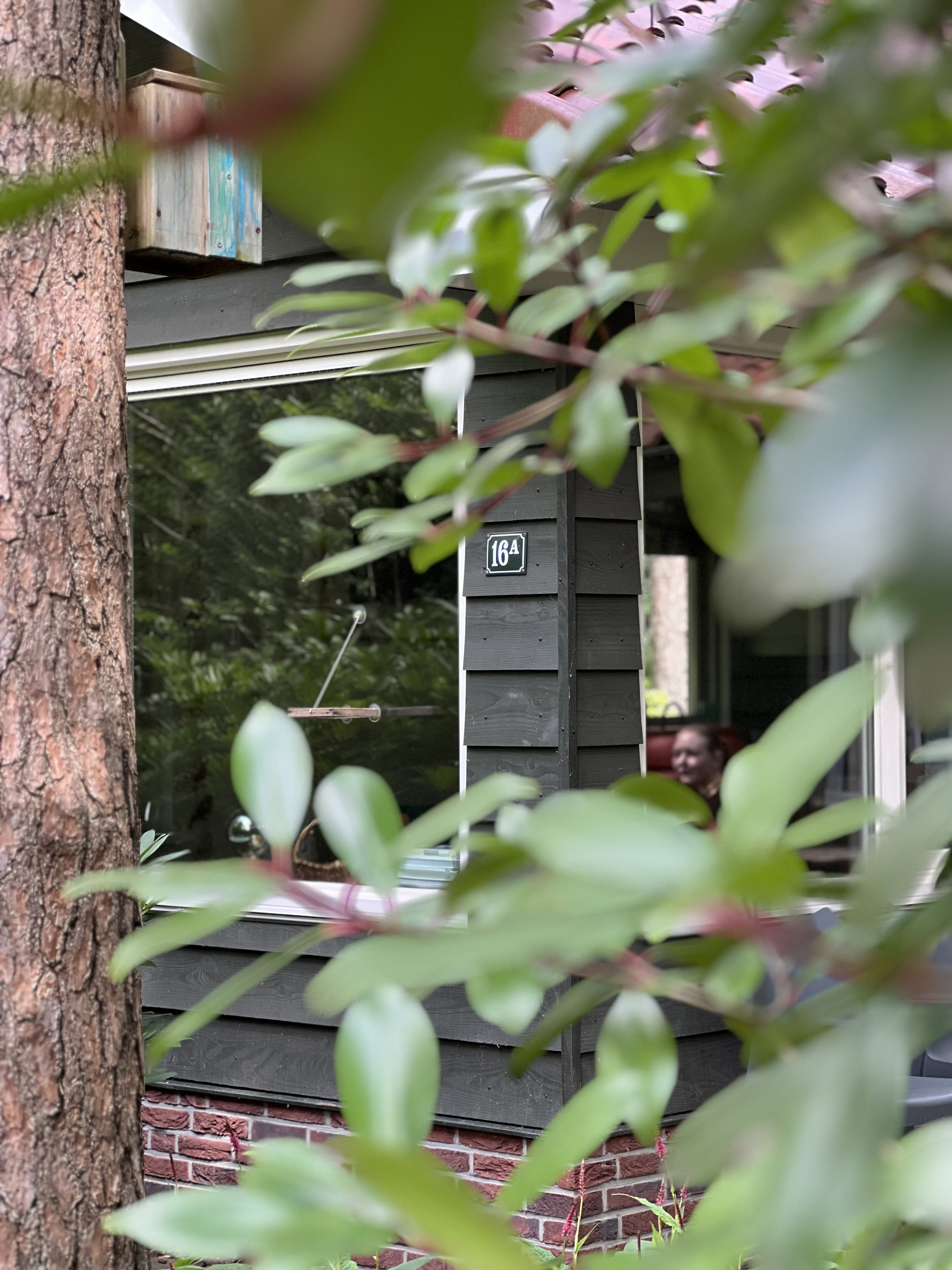 Casa nella natura a Lochem