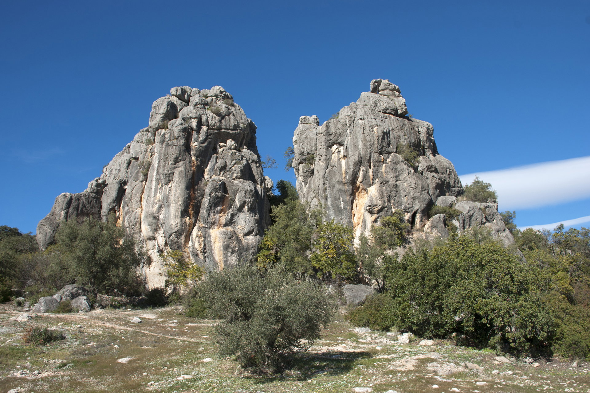 - image: 42