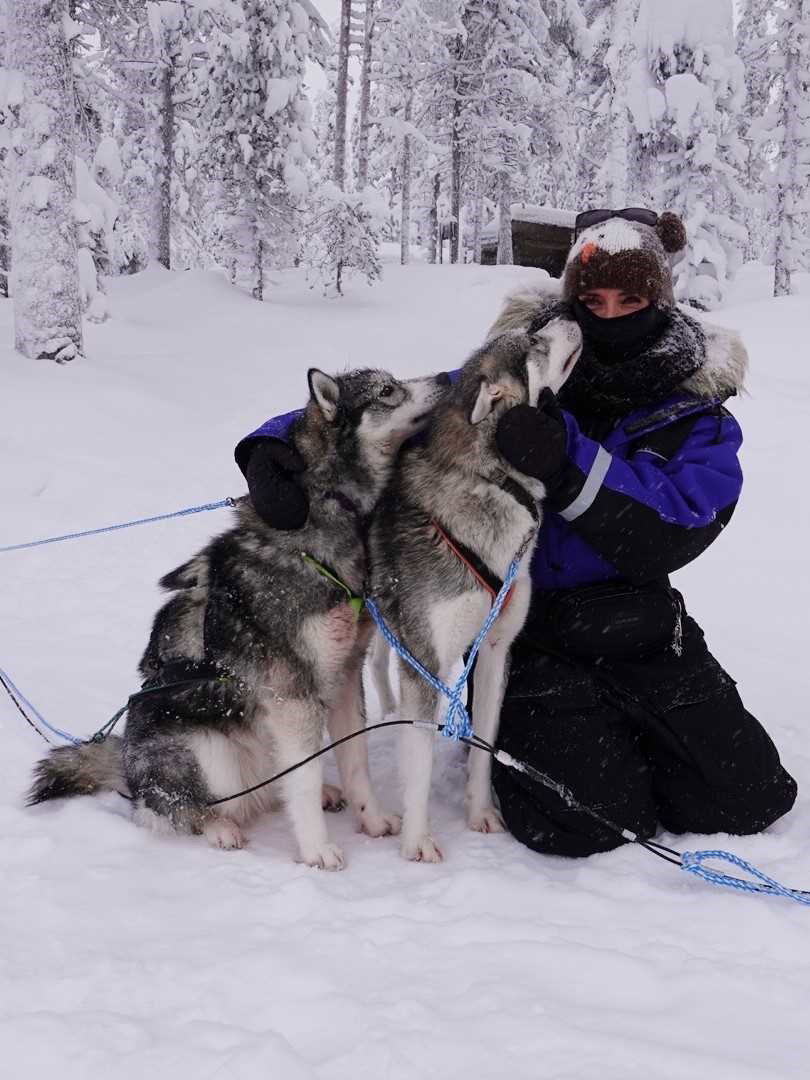 - image: 91