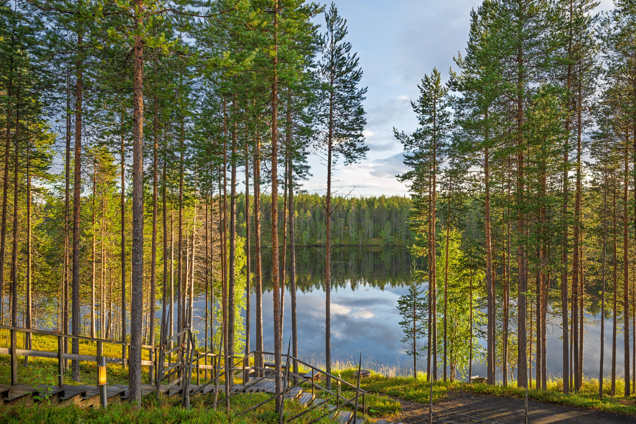 - image: 16