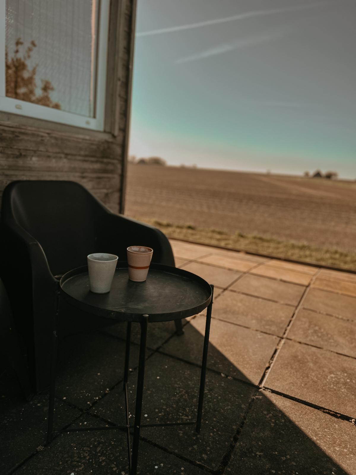 Natuurhuisje in Holwerd
