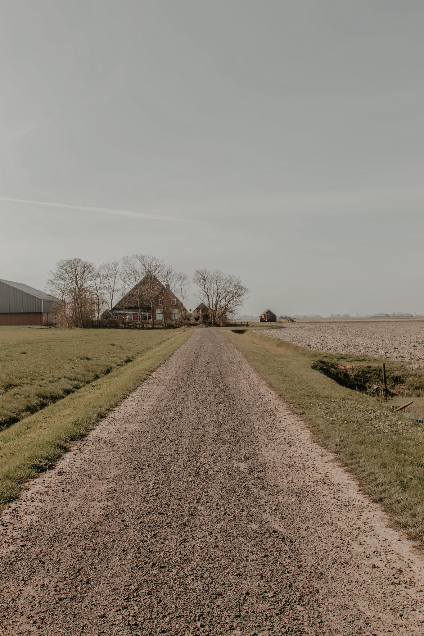 Natuurhuisje in Holwerd