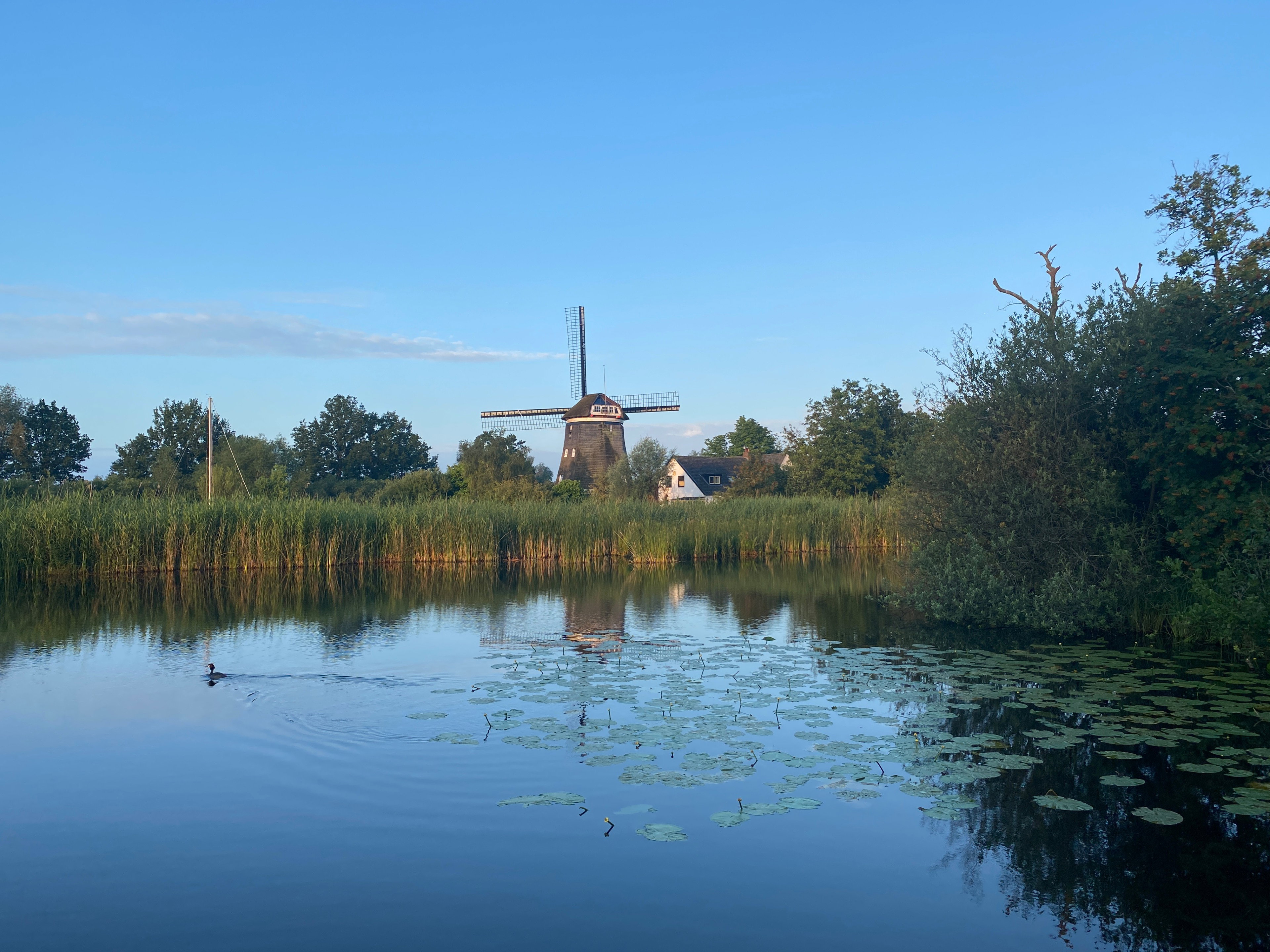 - image: 29