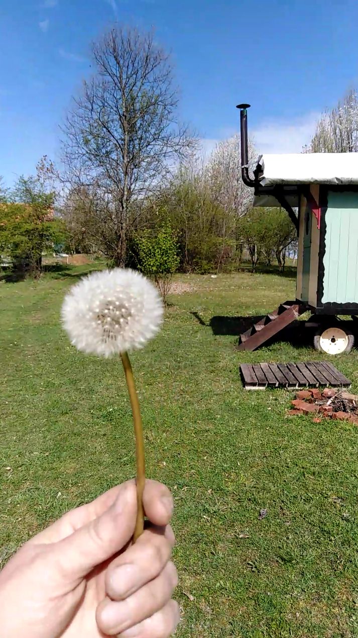 Casa nella natura a Vojnic