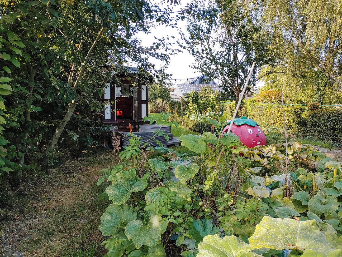 Maison nature à Steenhuffel