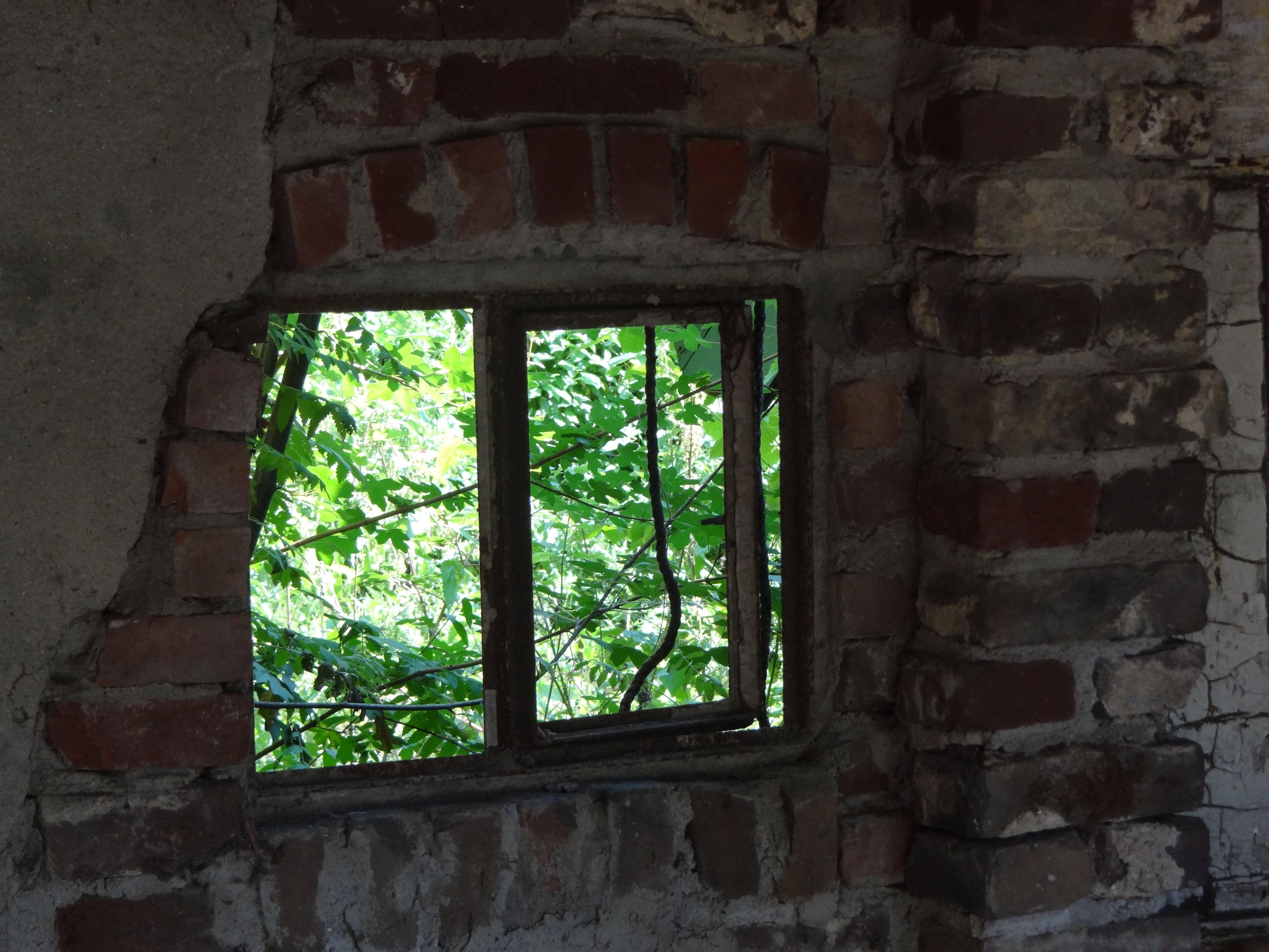 - image: 17