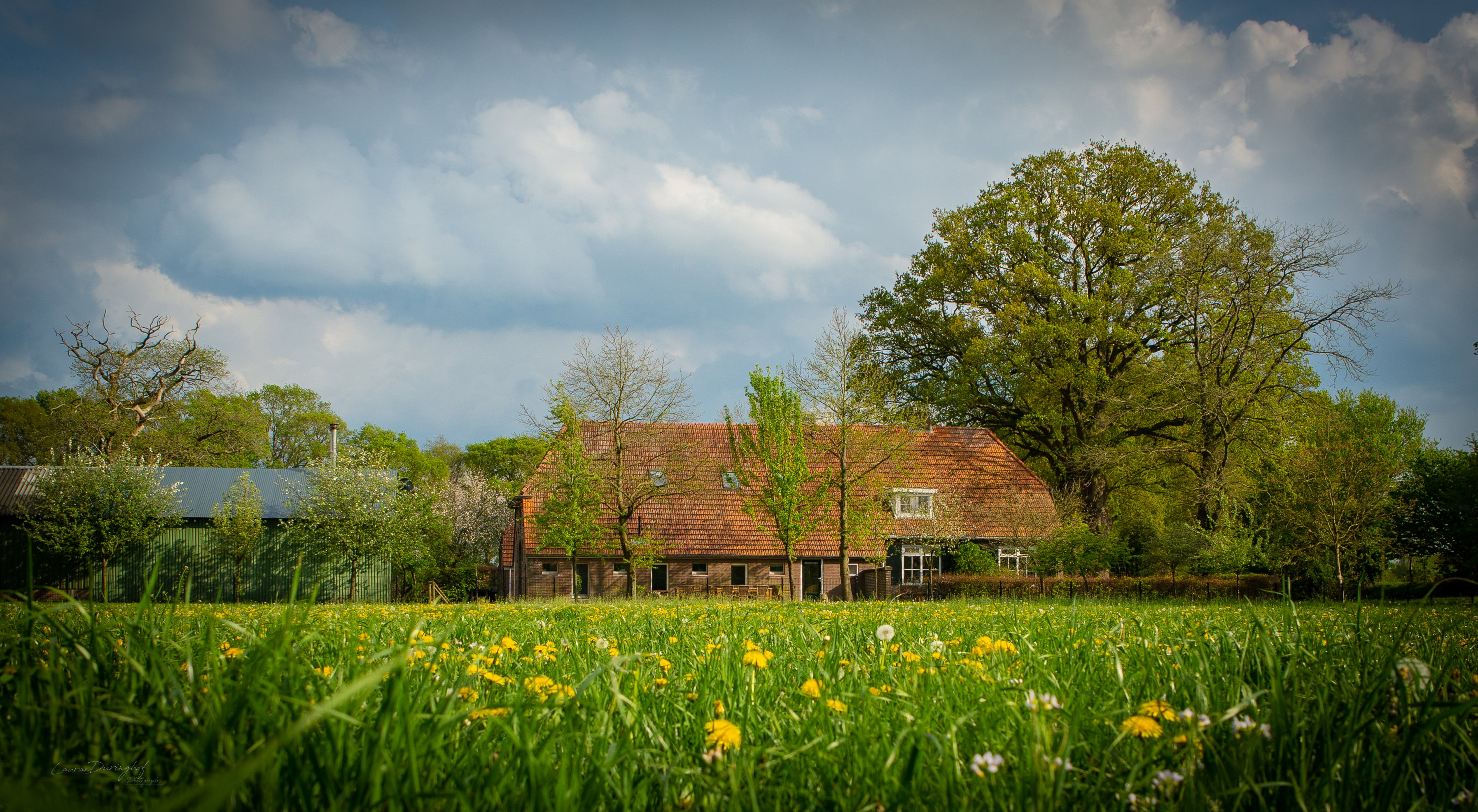 Naturhäuschen in Lochem