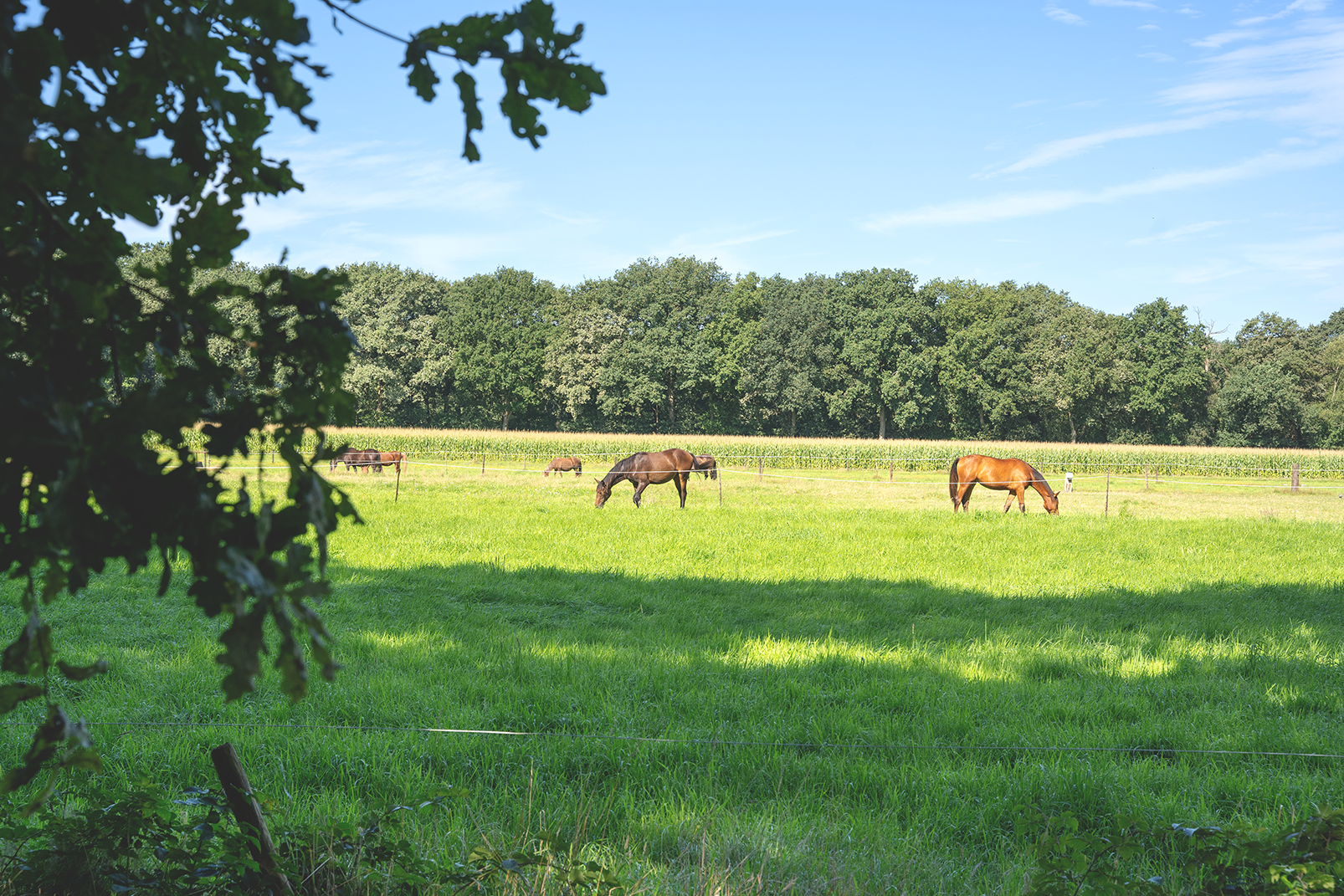 Naturhäuschen in Soest