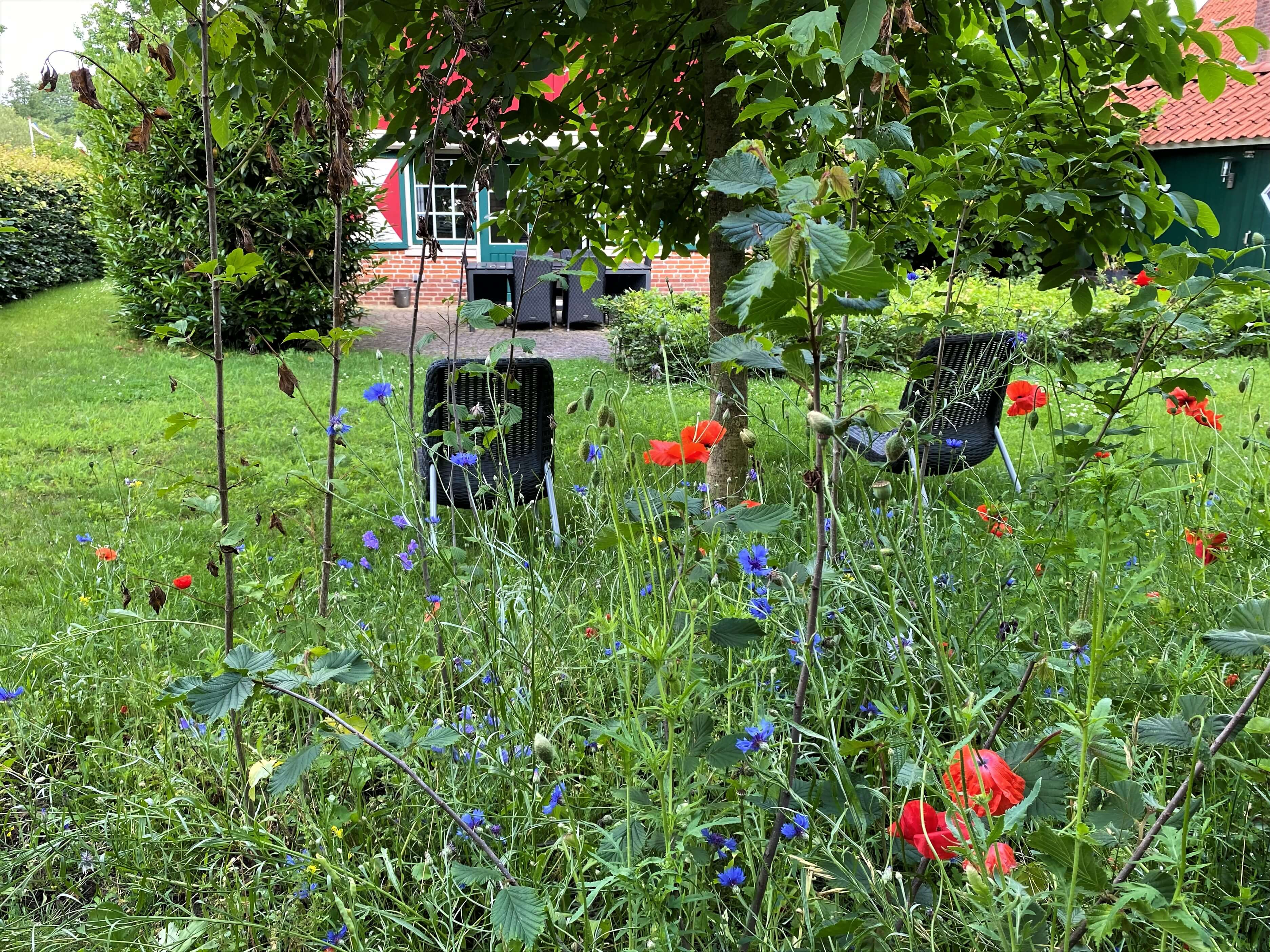 Natuurhuisje in Lievelde