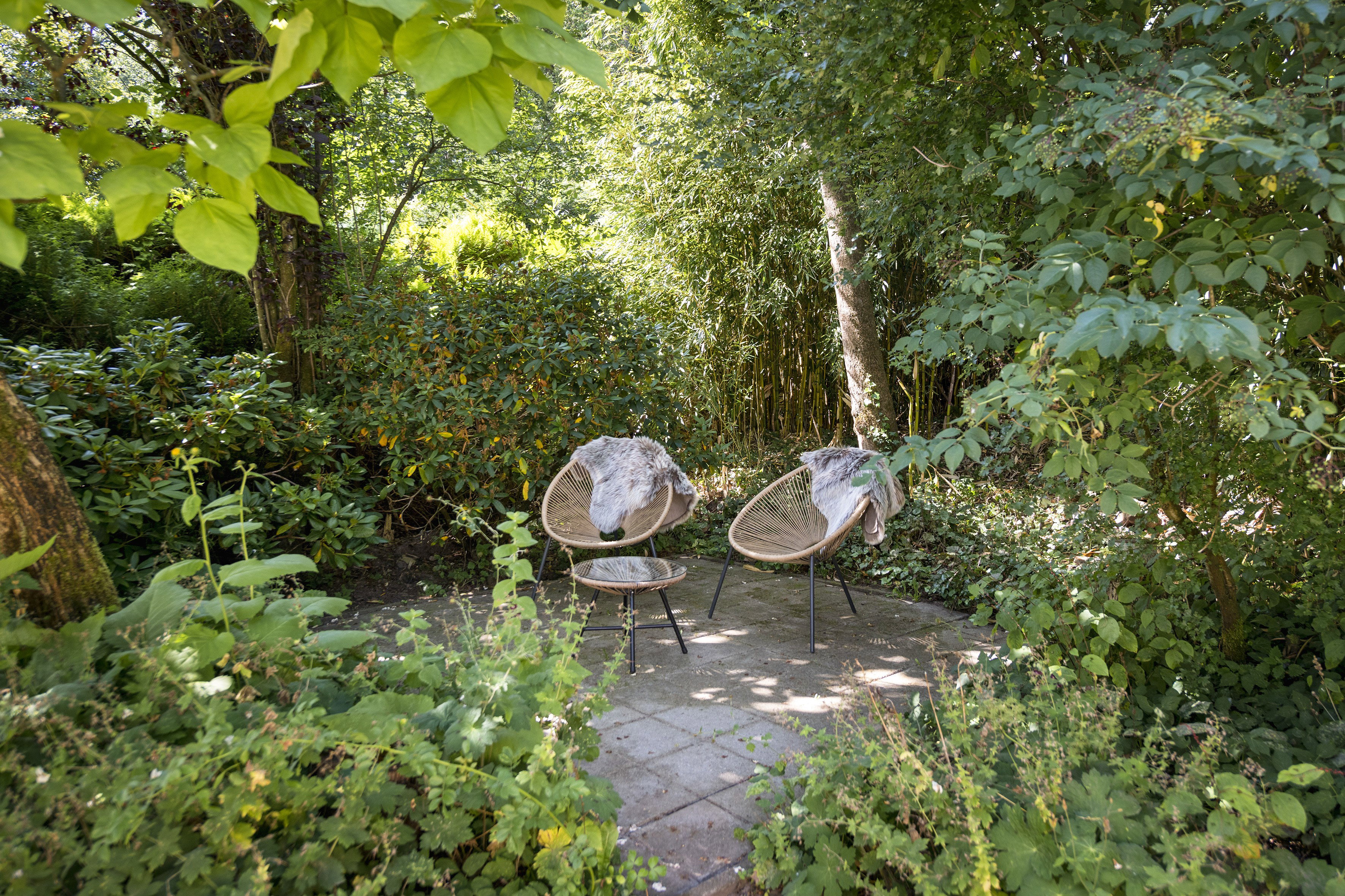 Nature house in Rheden