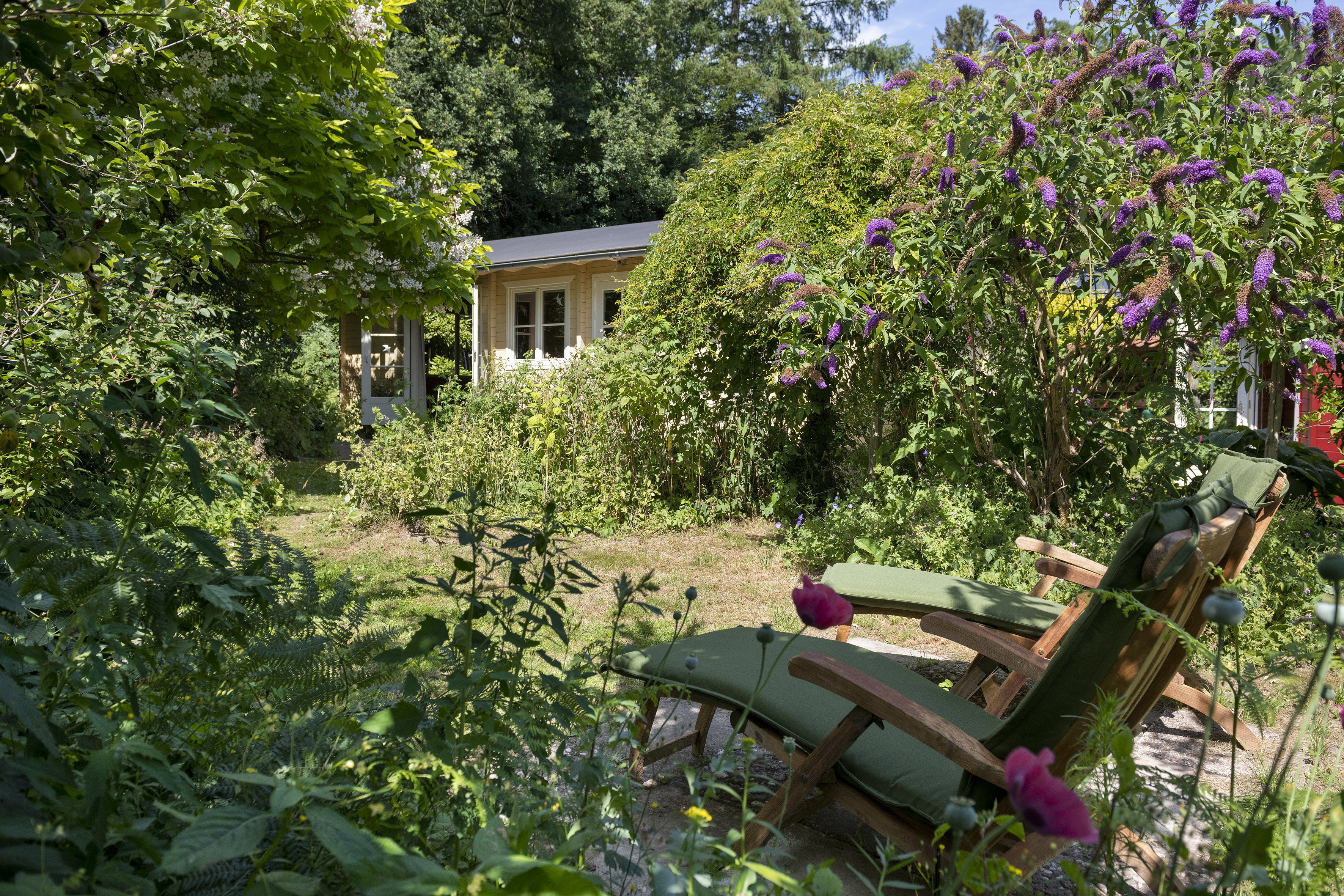 Nature house in Rheden