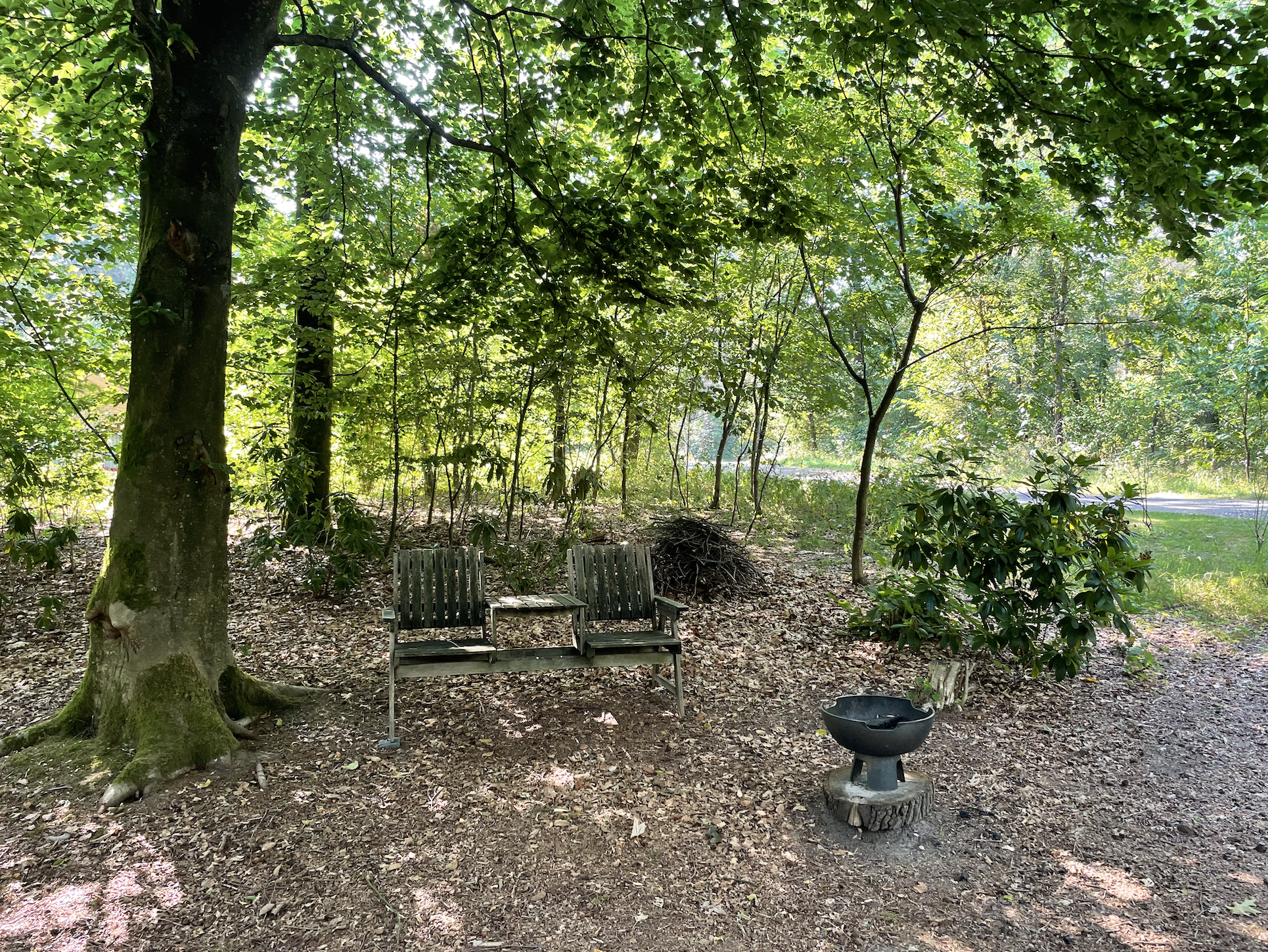 Naturhäuschen in Elspeet