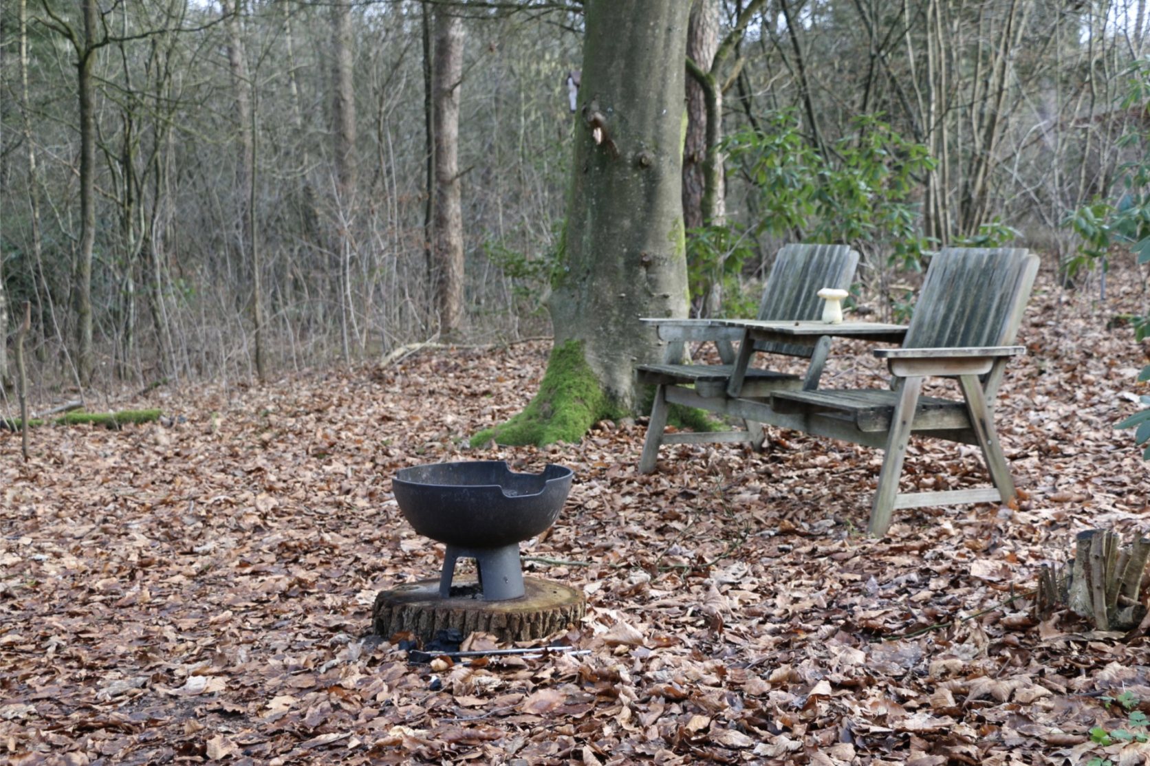 Naturhäuschen in Elspeet
