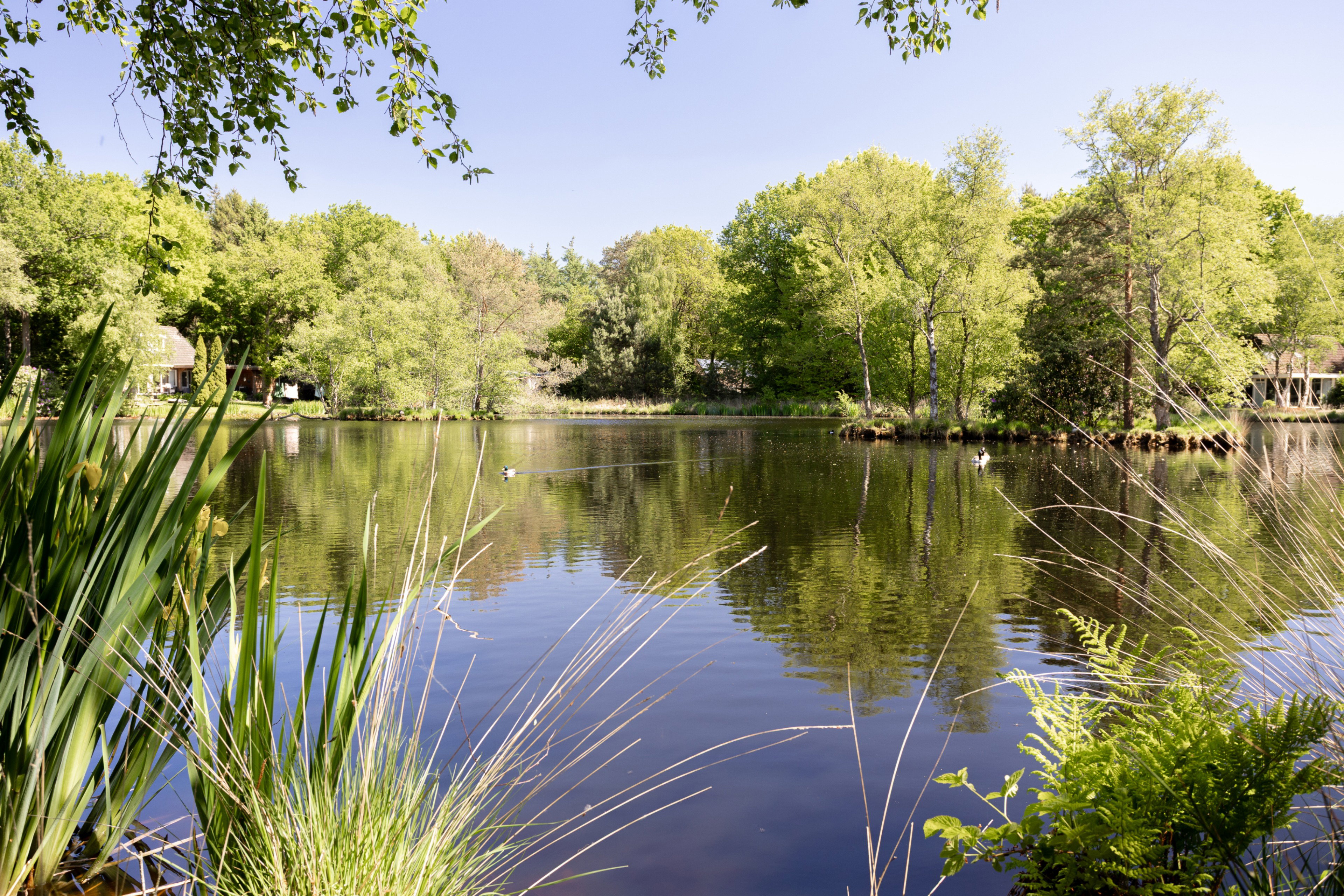 Maison nature à Een