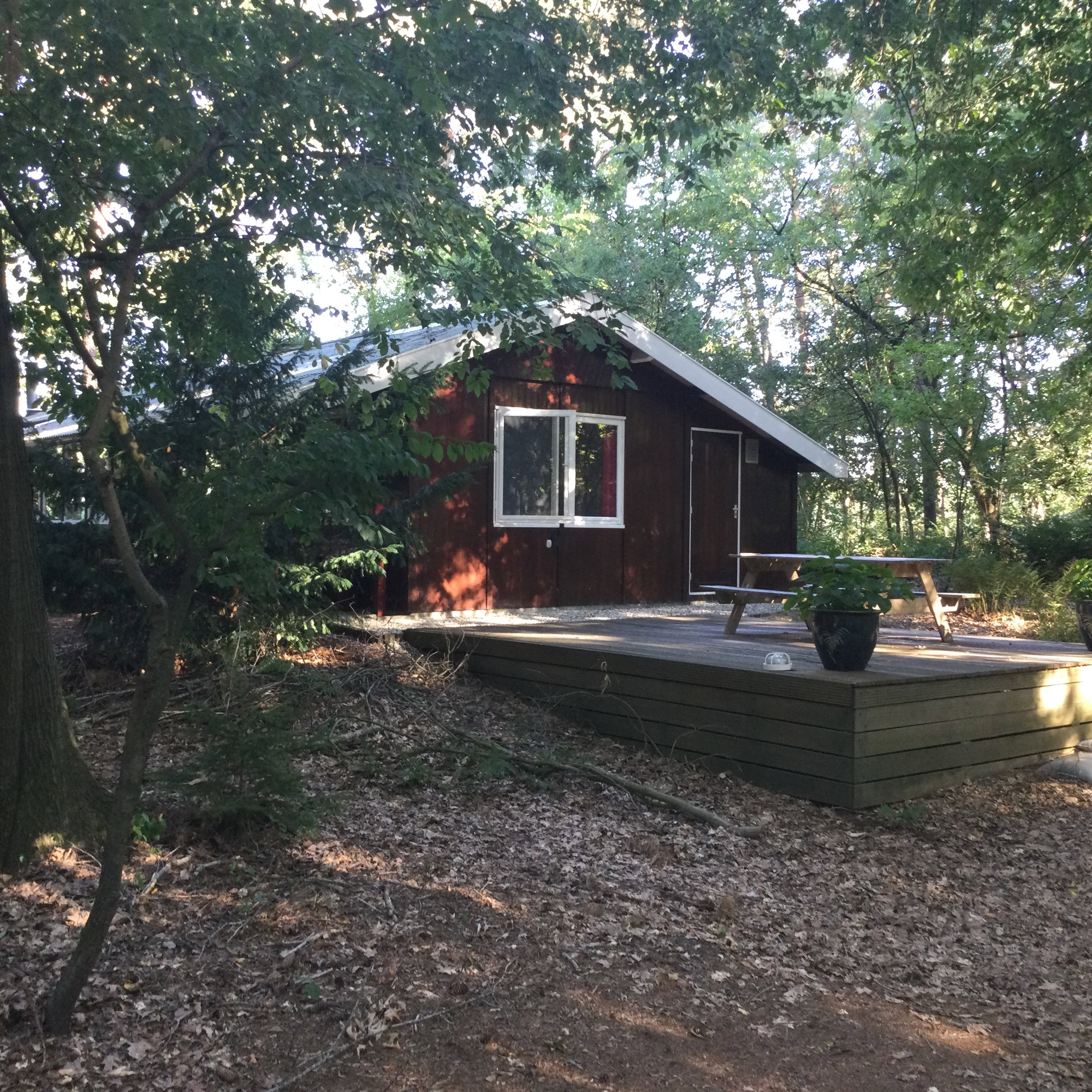 Naturhäuschen in Harfsen