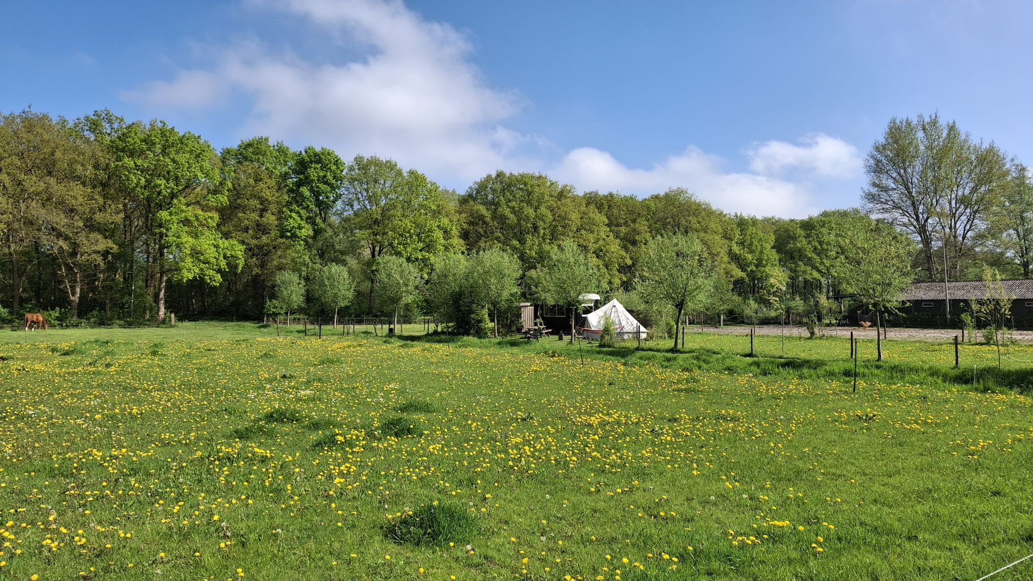 Natuurhuisje in Elim
