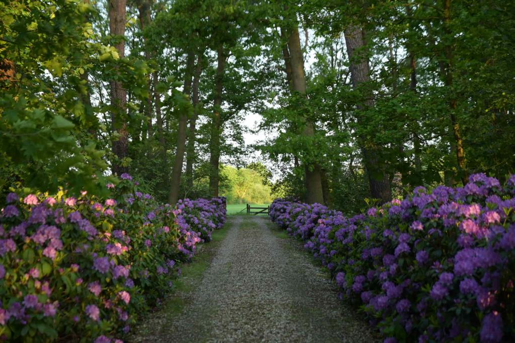 Naturhäuschen in Ruurlo