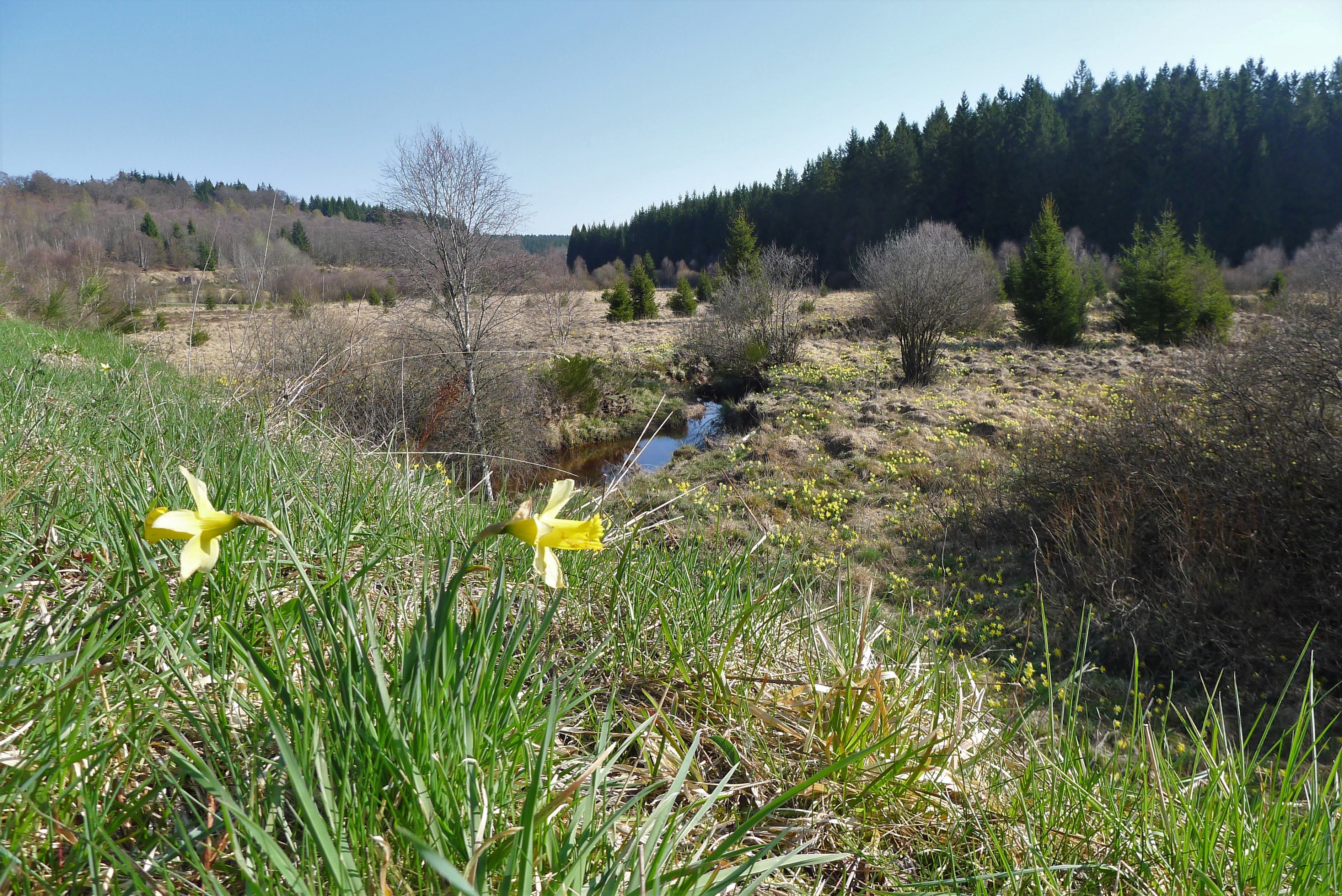 - image: 38