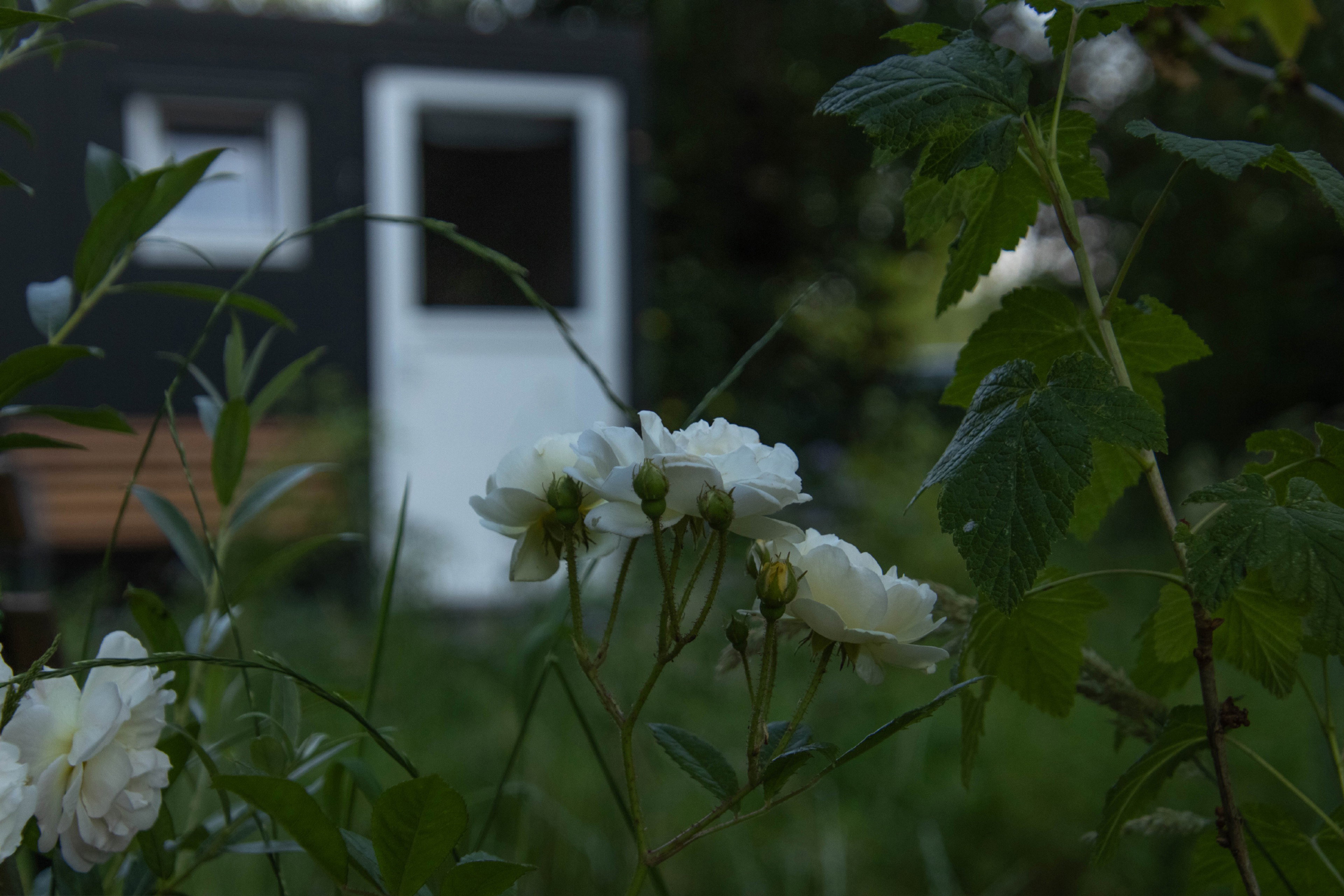 Casa nella natura a Lunteren