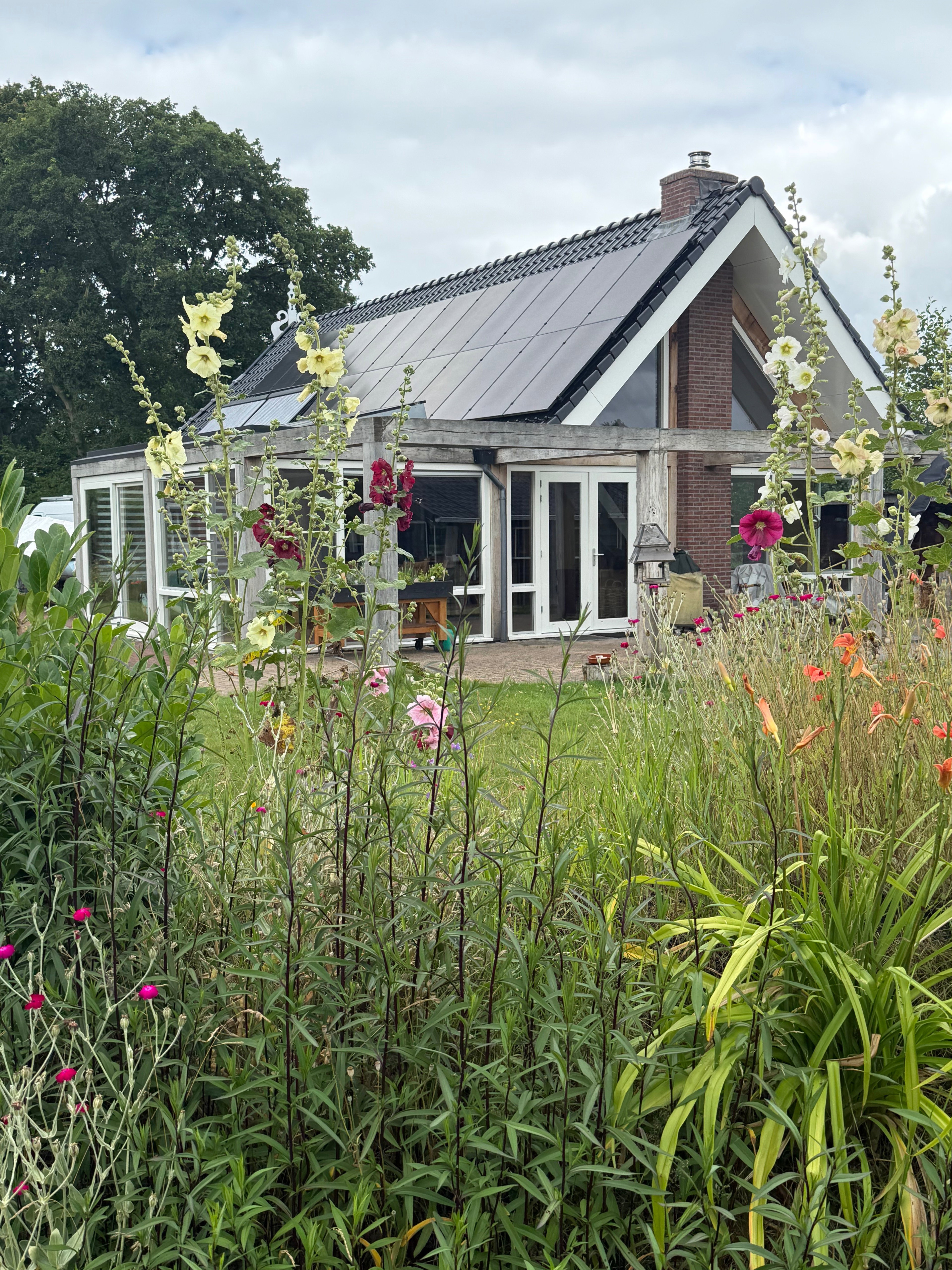 Casa nella natura a De Wilp