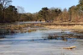 Natuurhuisje in De Wilp