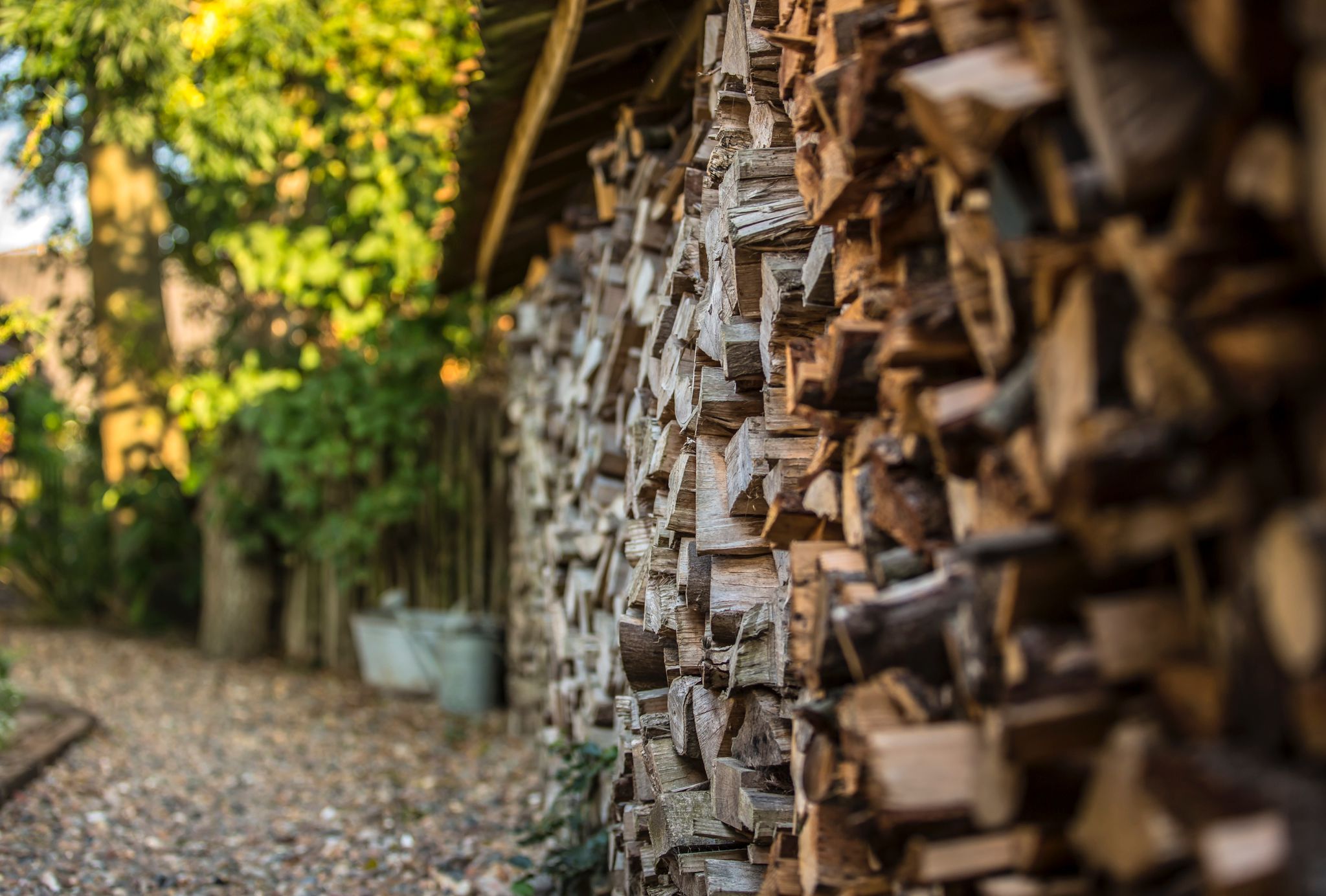 Casa nella natura a Tuitjenhorn