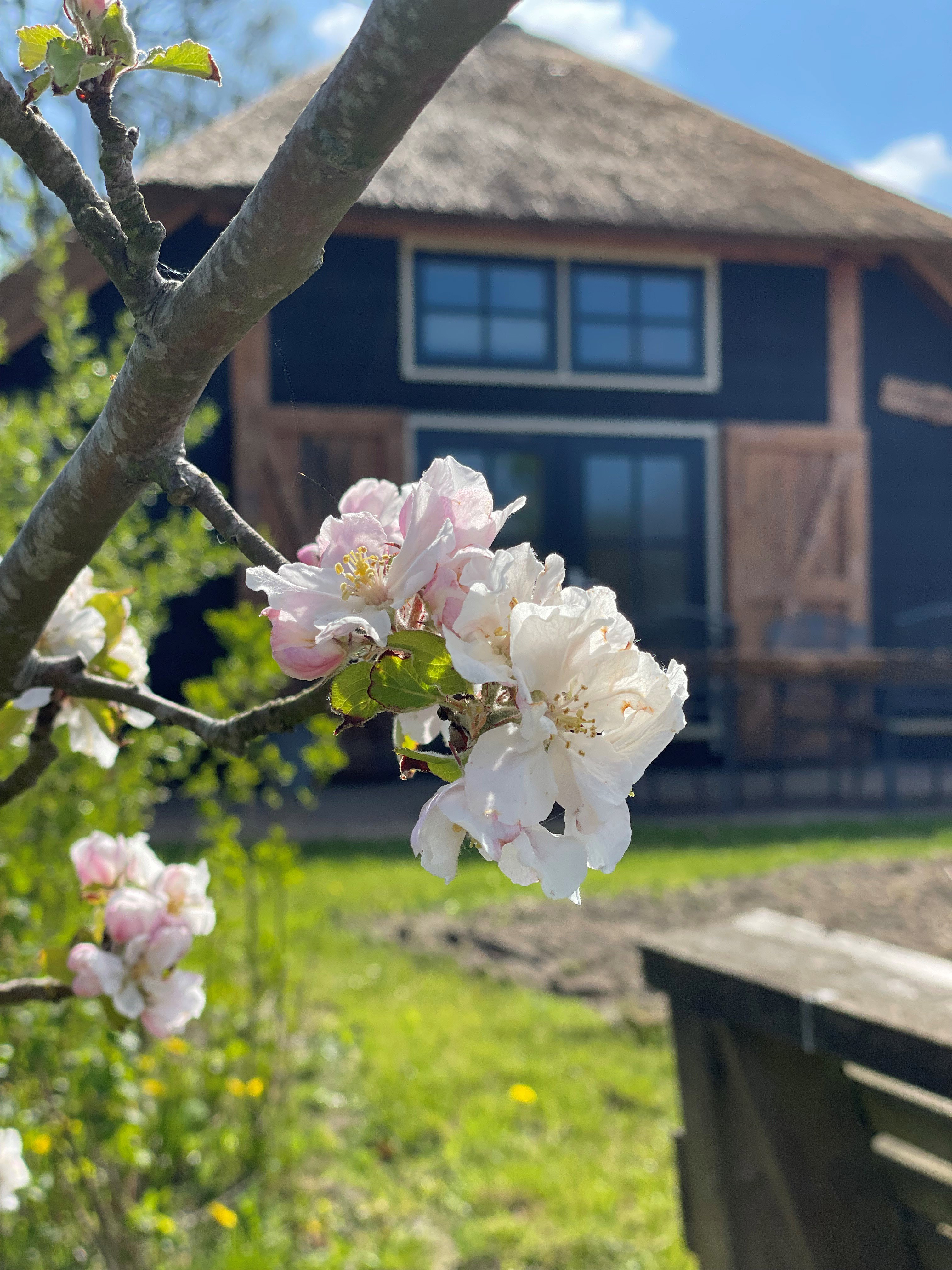 Casa nella natura a Tuitjenhorn