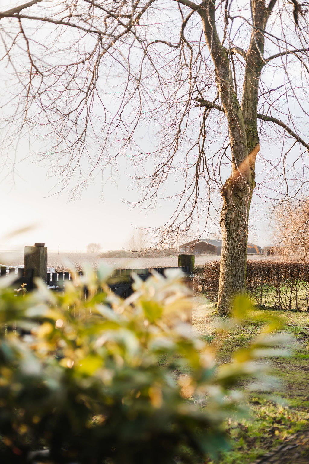 Natuurhuisje in Altforst