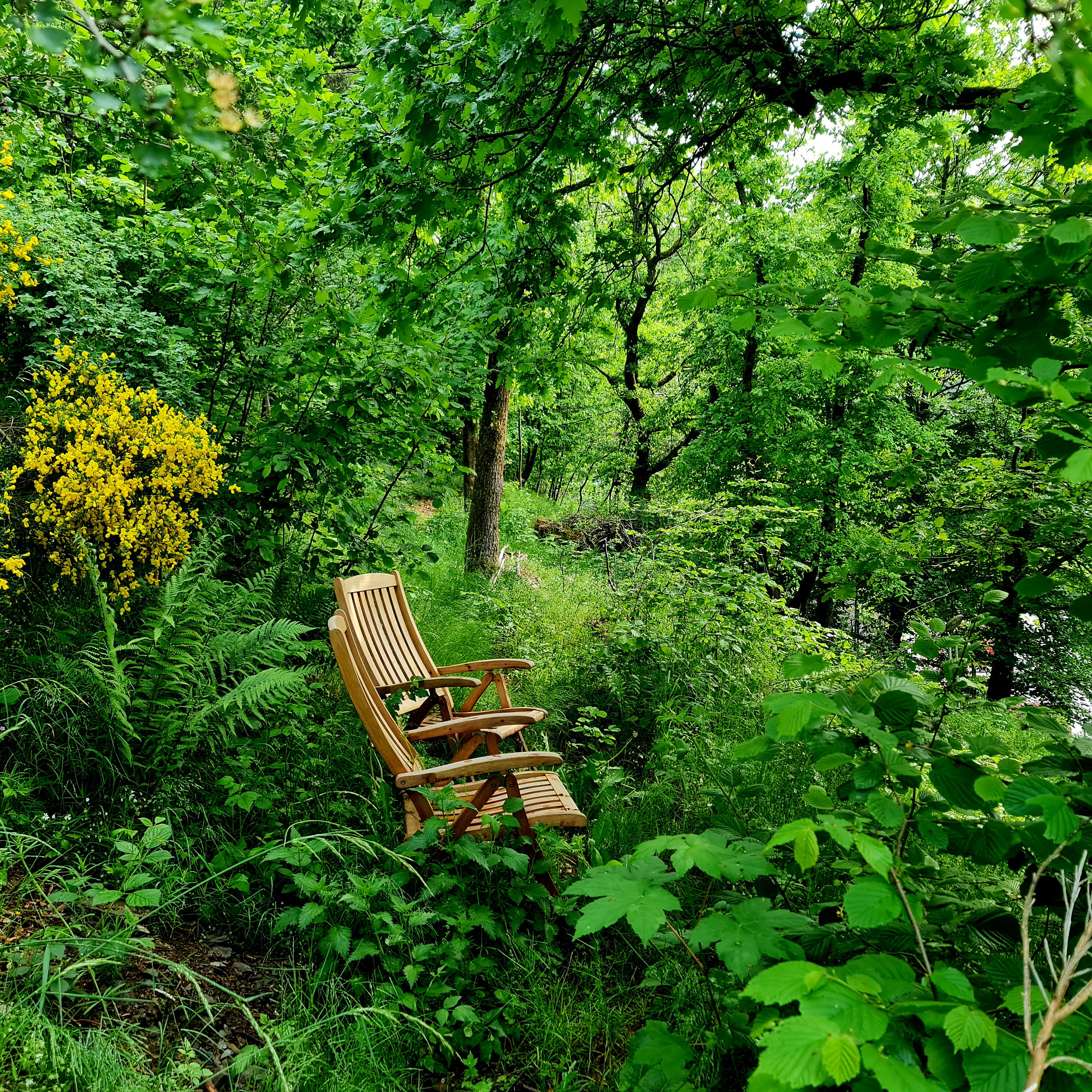 Naturhäuschen in Hatzfeld
