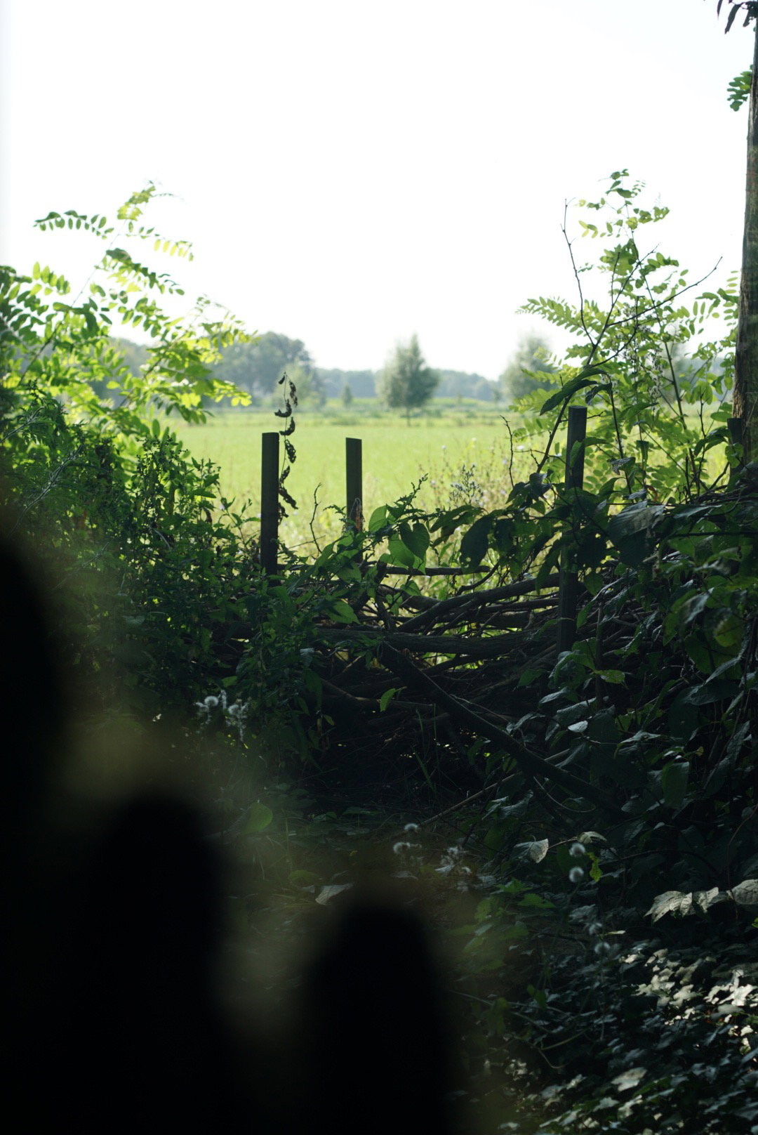 Natuurhuisje in Dedemsvaart