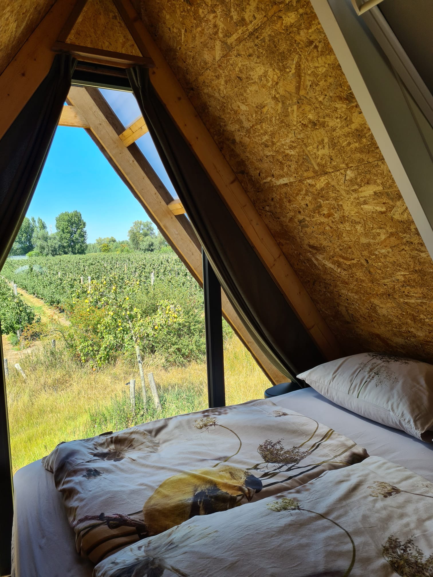 Natuurhuisje in Kwadendamme
