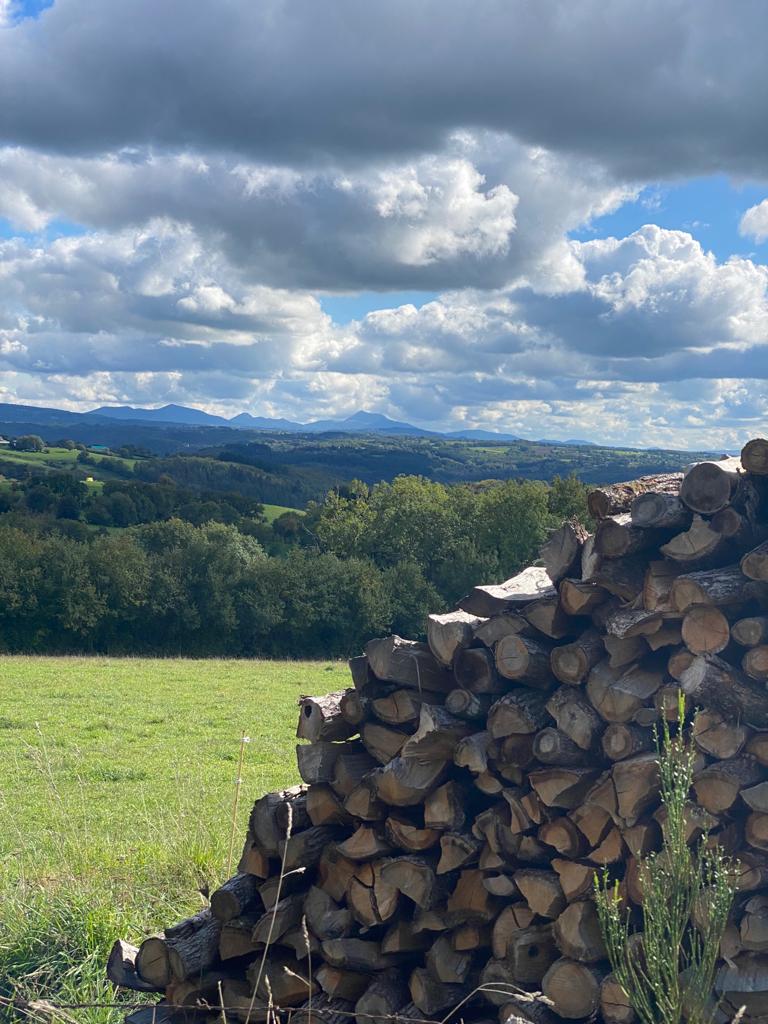 Natuurhuisje in Saint Gervais-de-Auvergne