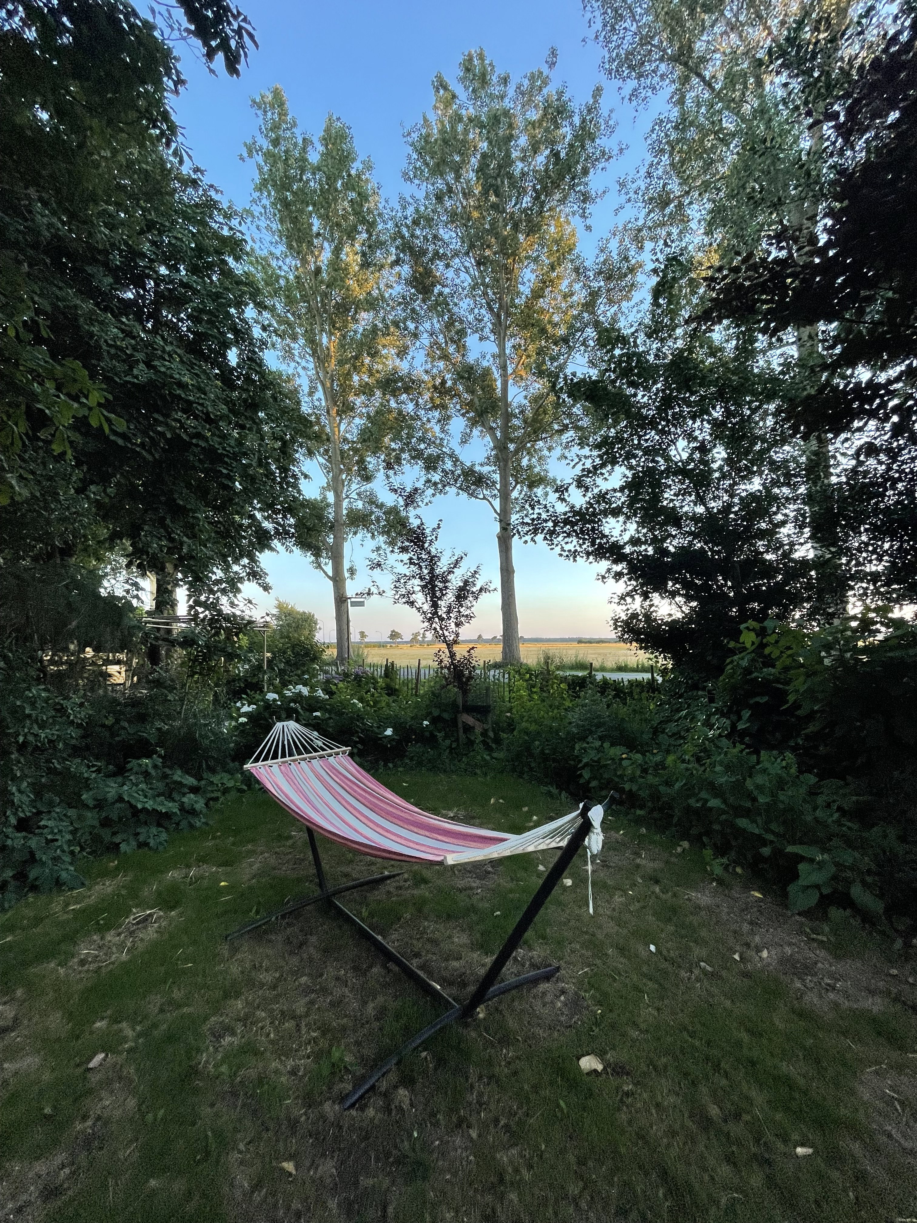 - image: 26