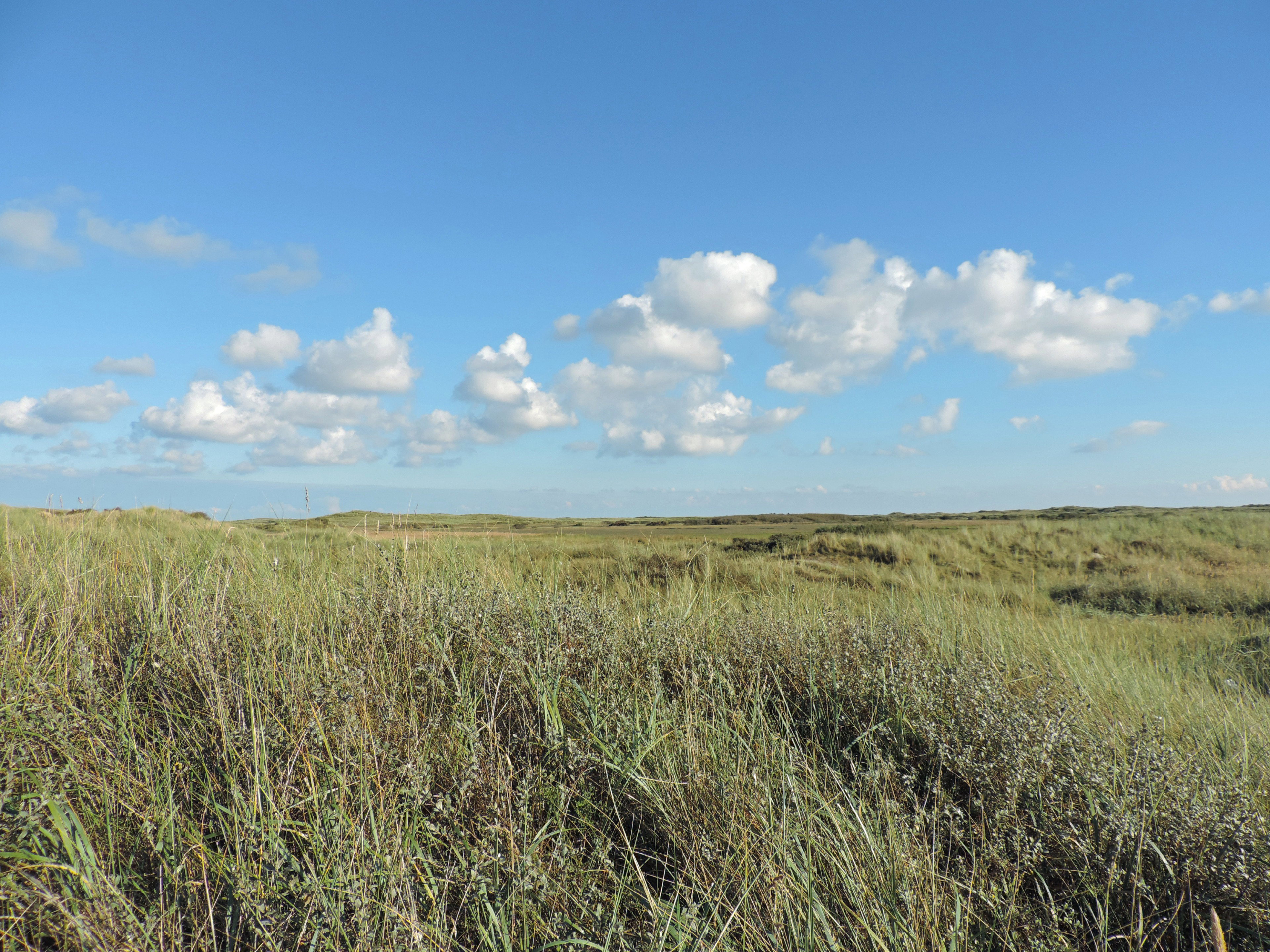 Natuurhuisje in Oosterend