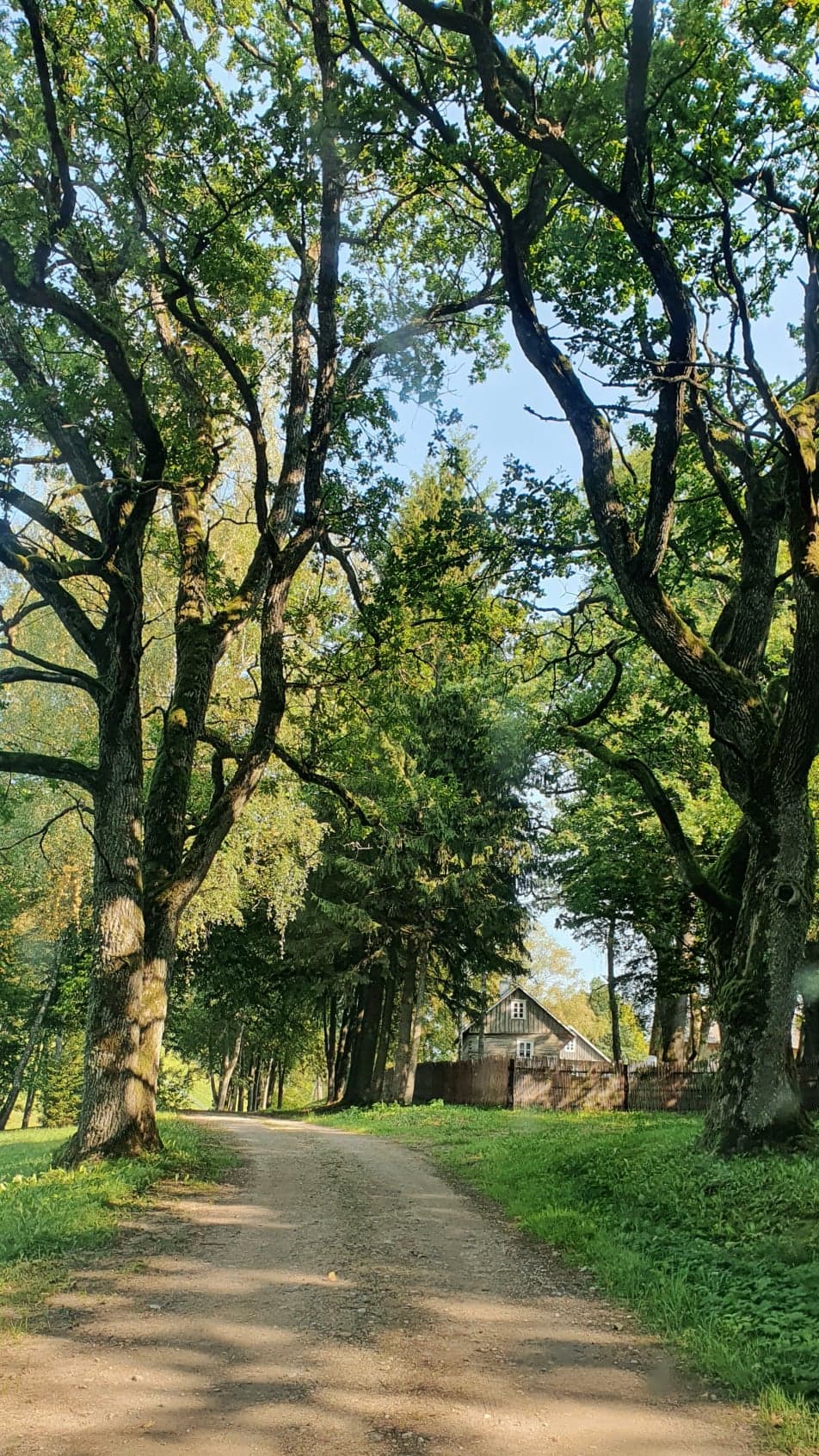 Natuurhuisje in Bilioniai, Silales distict