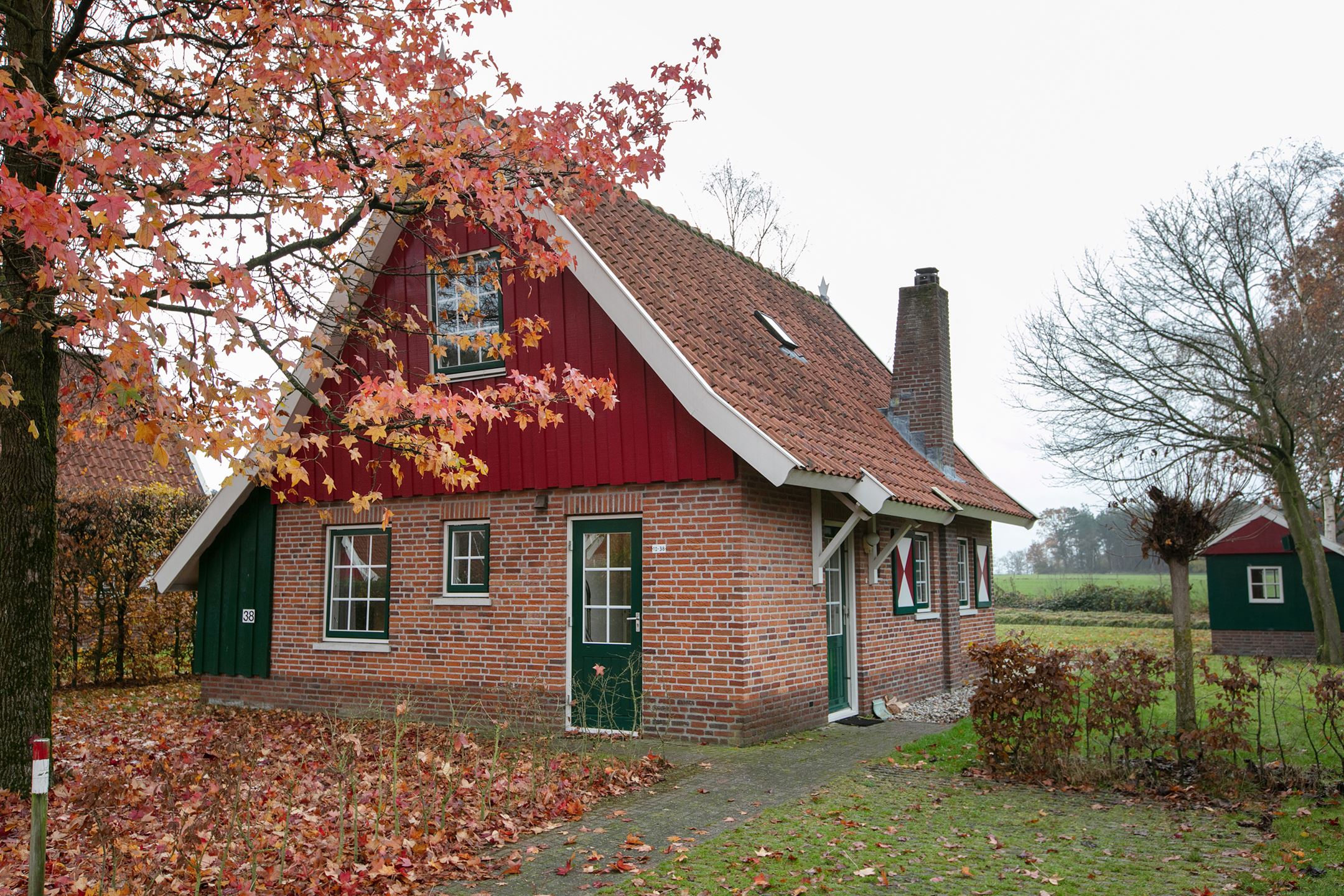 - image: 22
