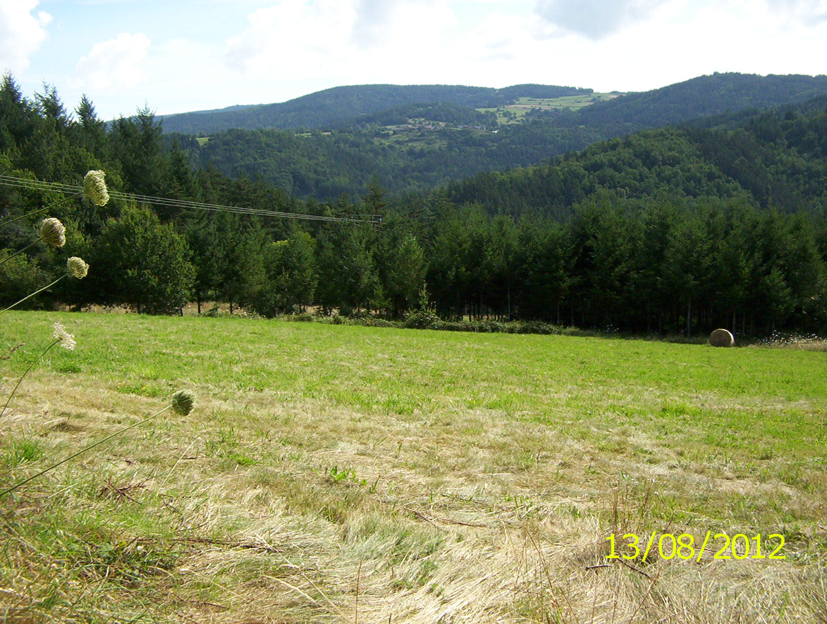 - image: 27