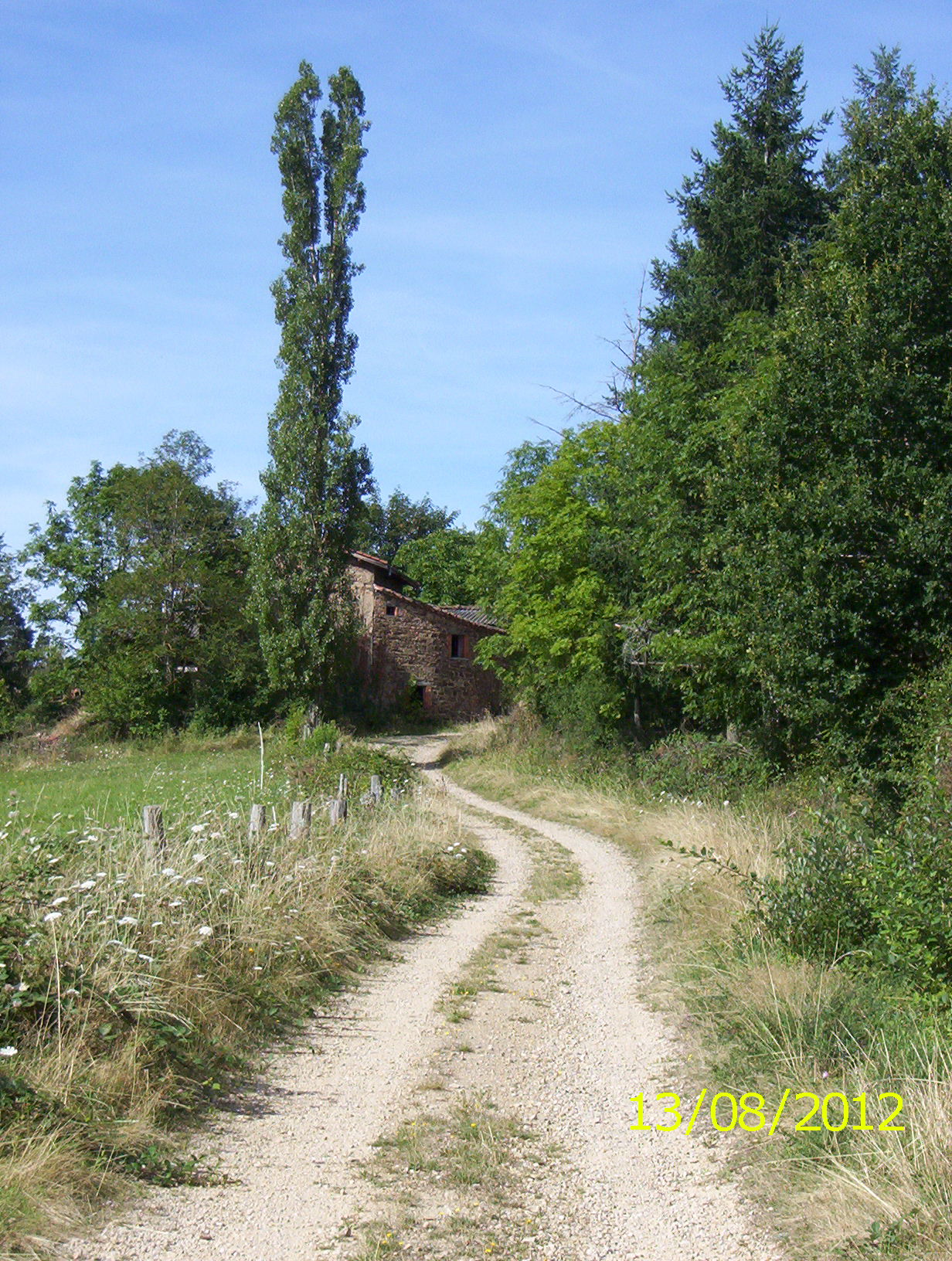 - image: 19