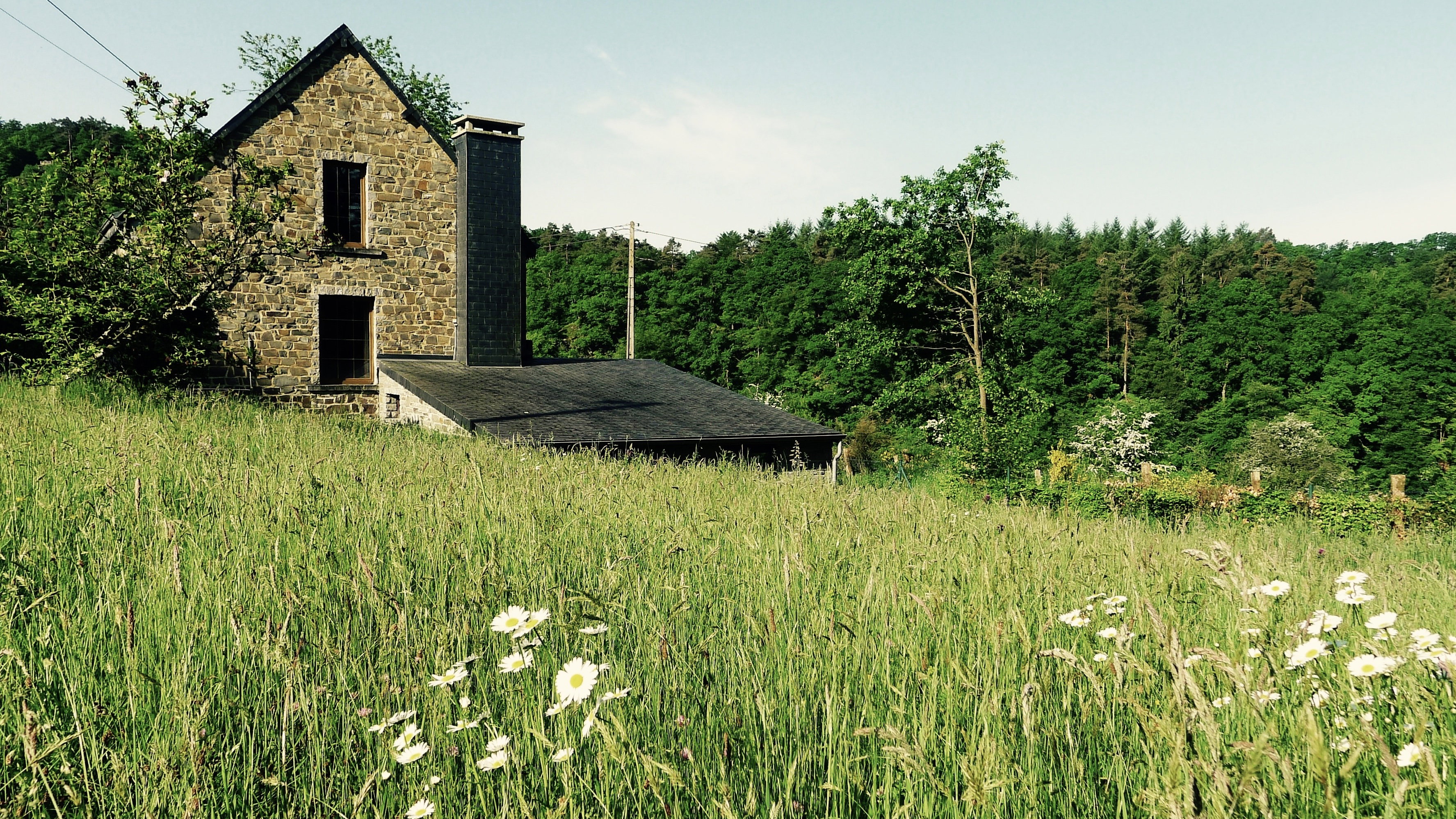 Maison nature à Herbeumont