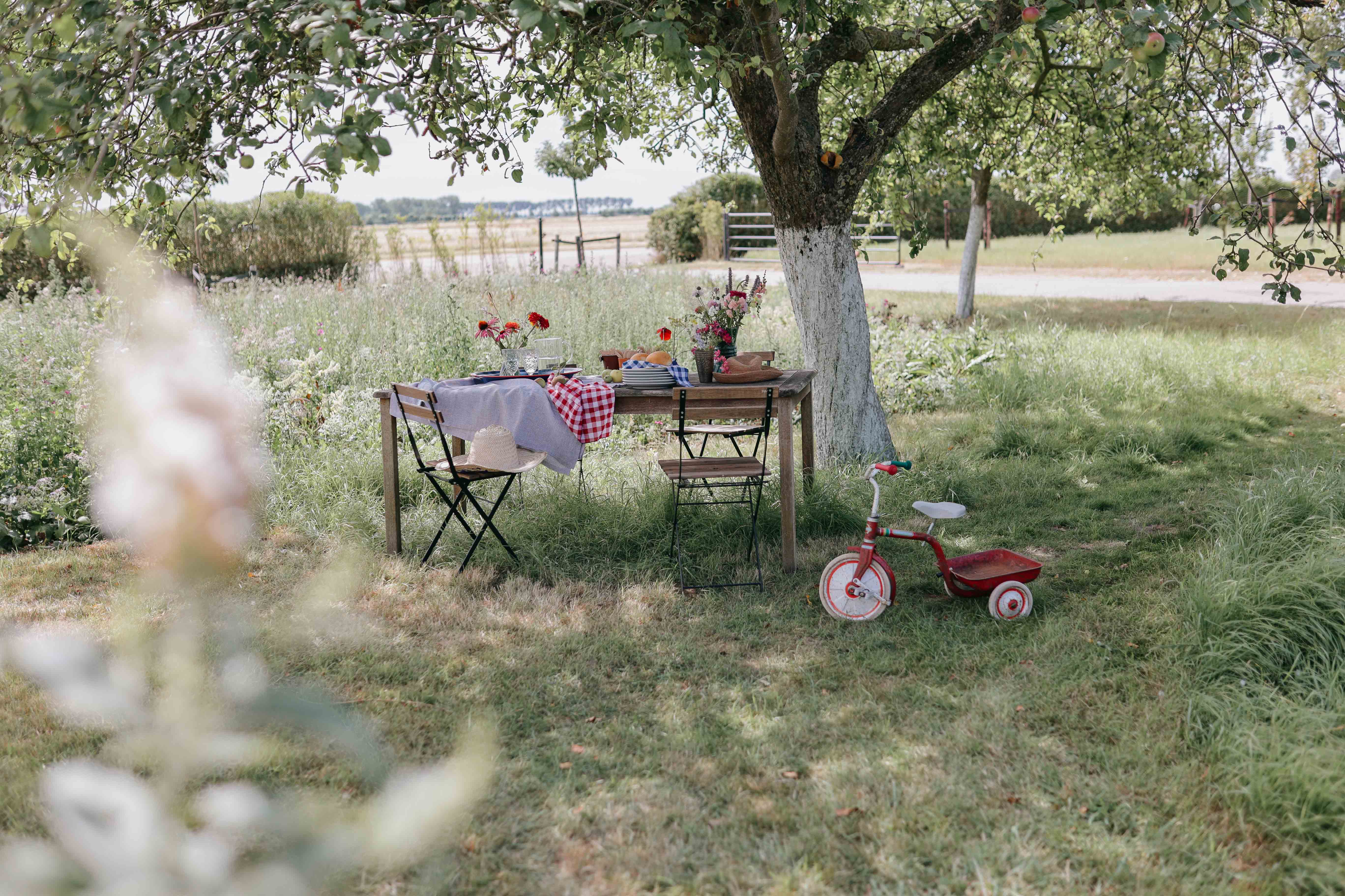 - image: 13