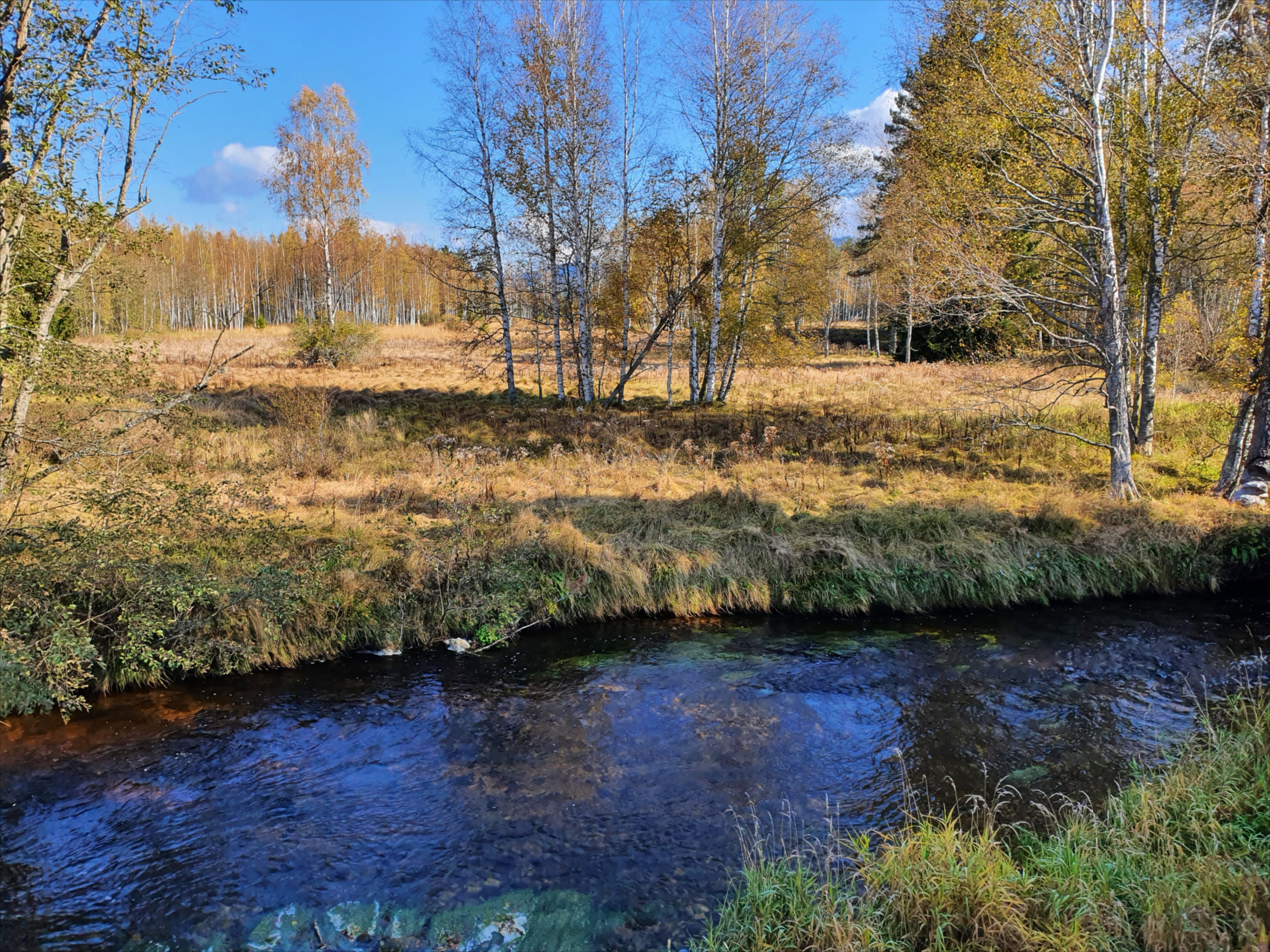 - image: 15