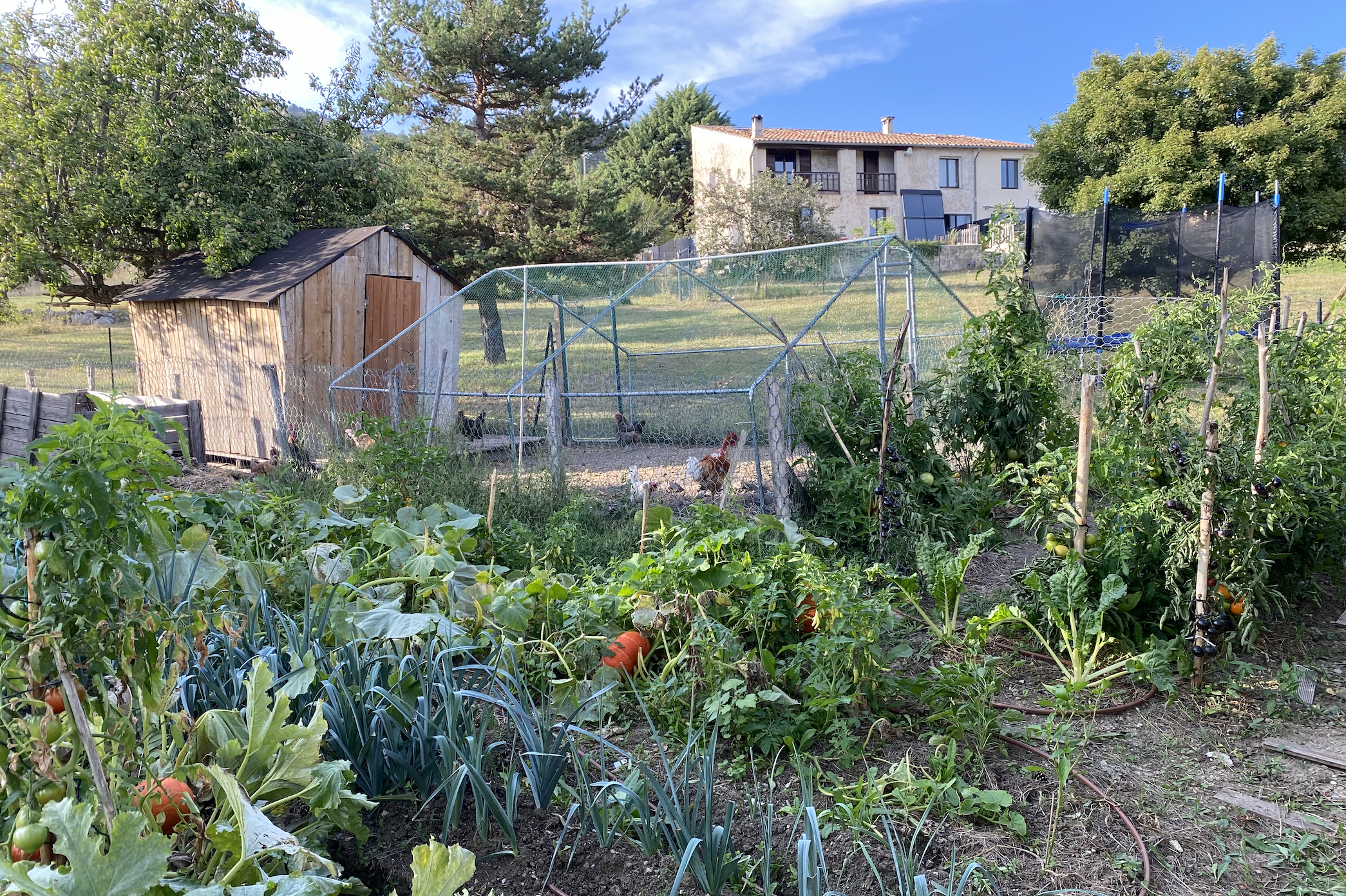 Nature house in Castellane