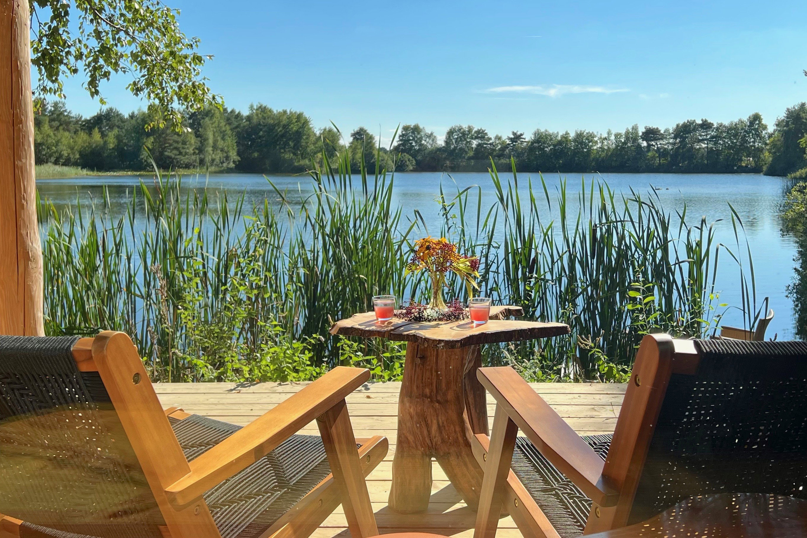 Natuurhuisje in Odoornerveen