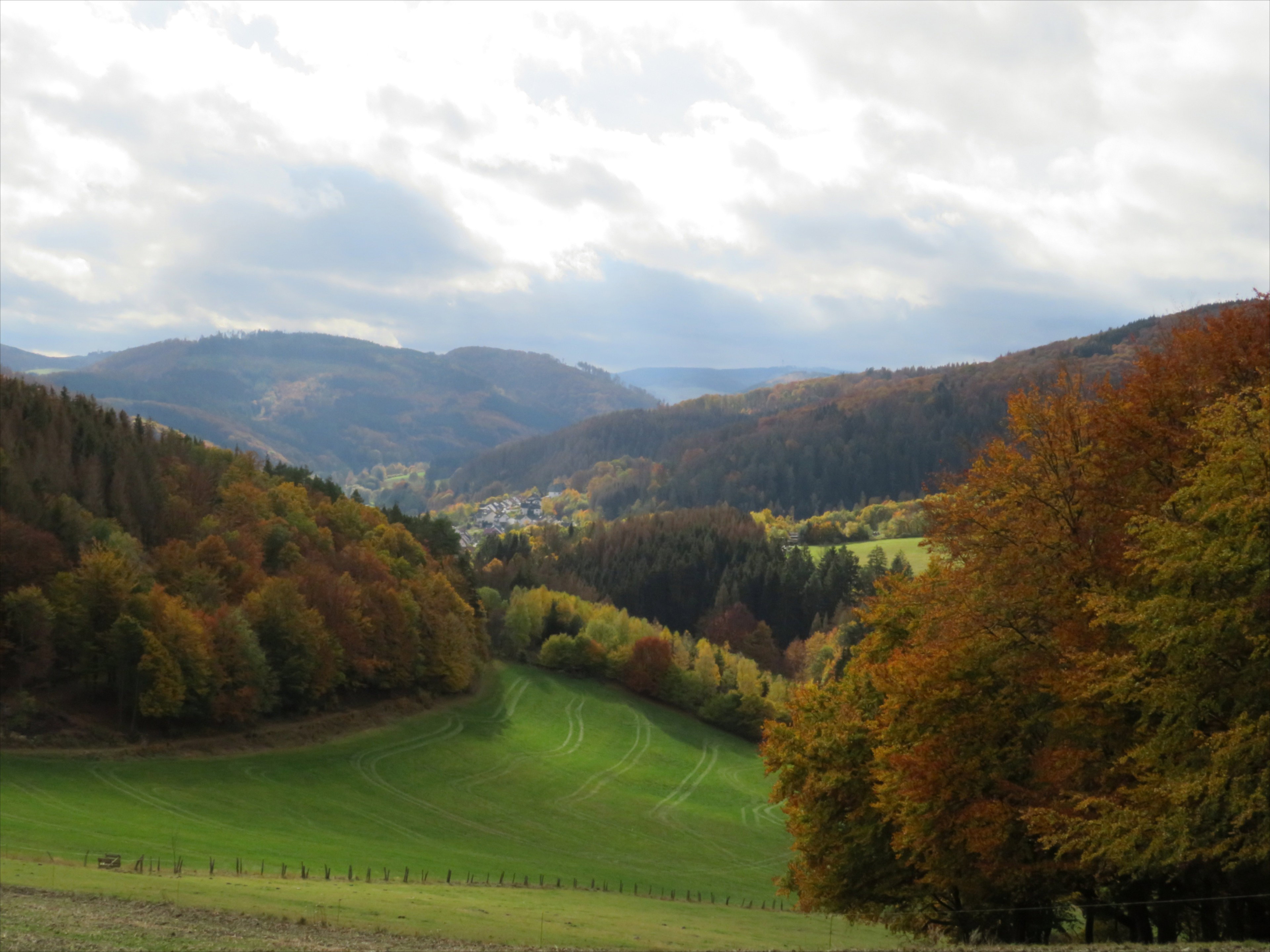 Natuurhuisje in Brilon-Madfeld
