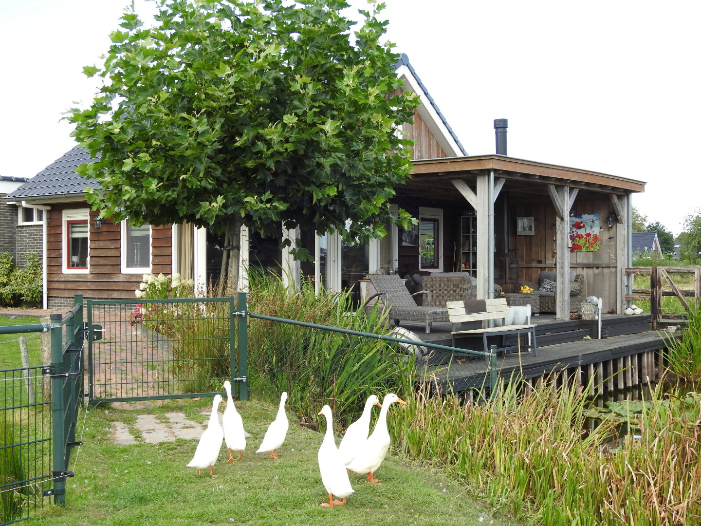 Naturhäuschen in Surhuisterveen