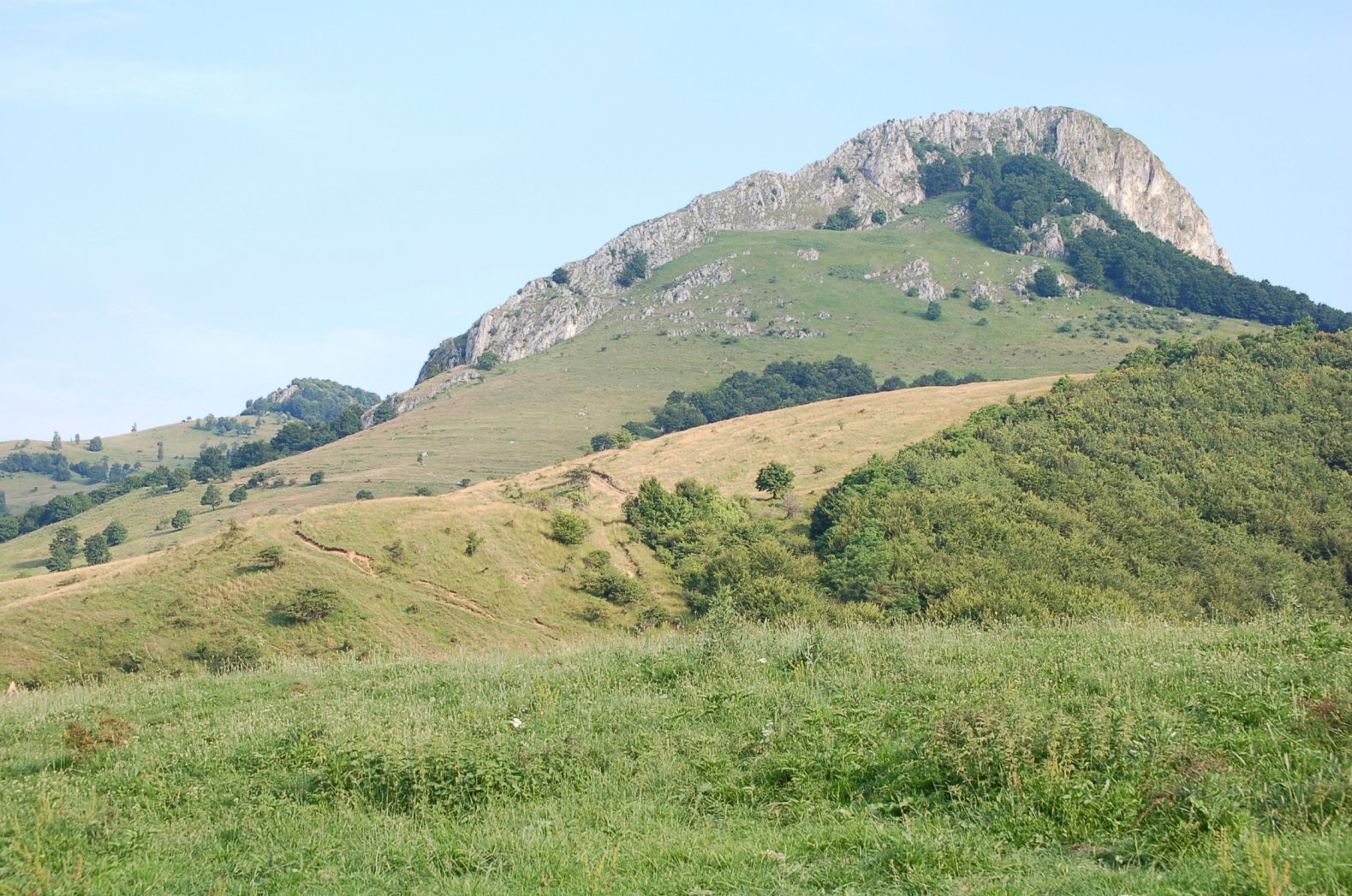 - image: 28