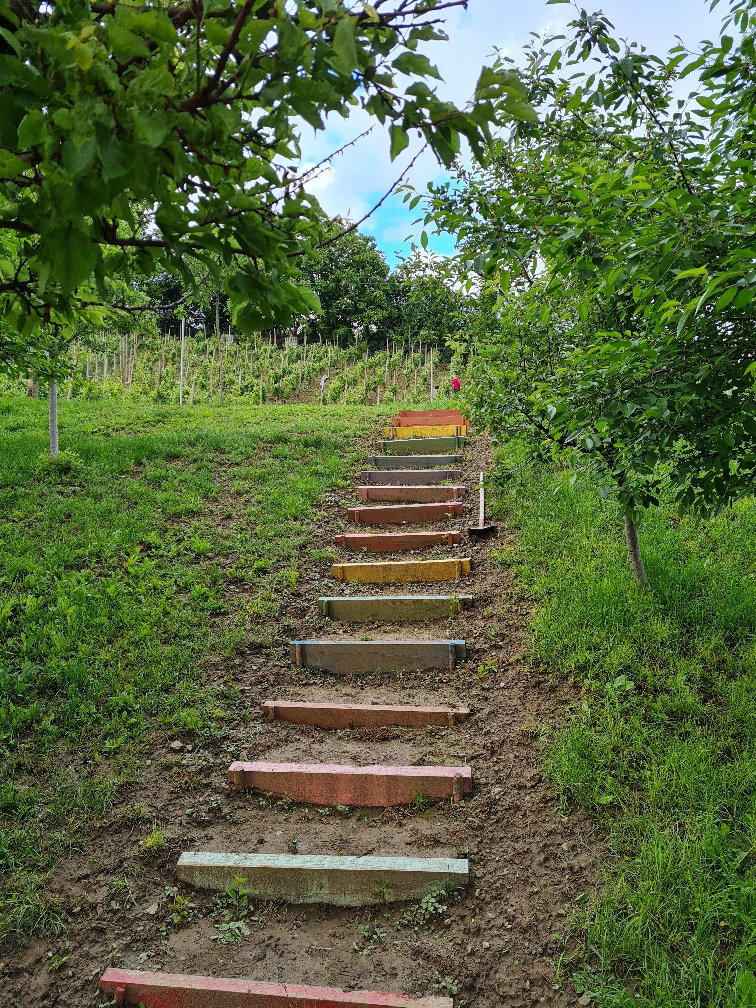 - image: 24