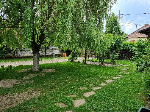 - image: 2